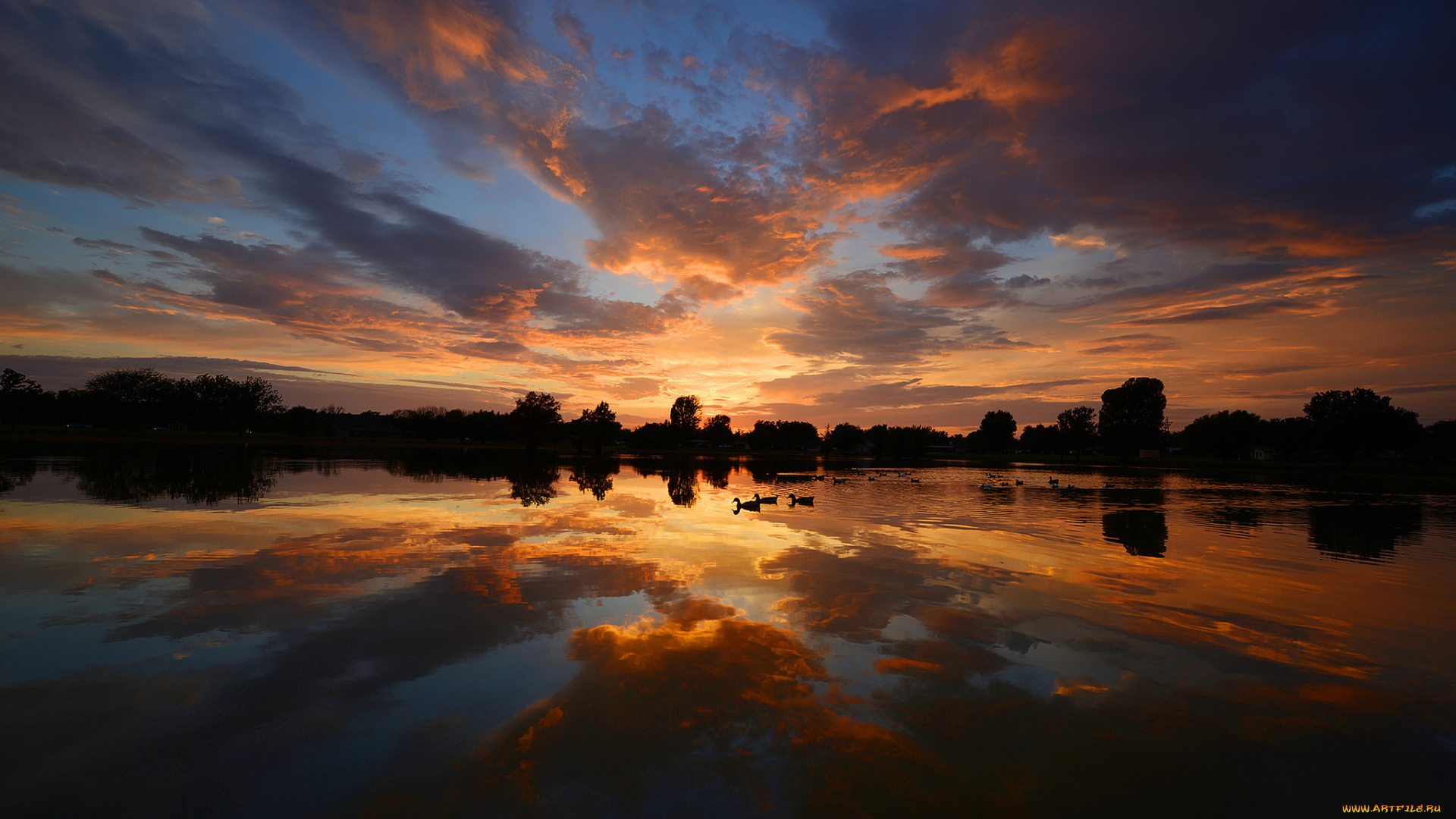 природа, восходы, закаты, утки, отражения, небо, вода, вечер