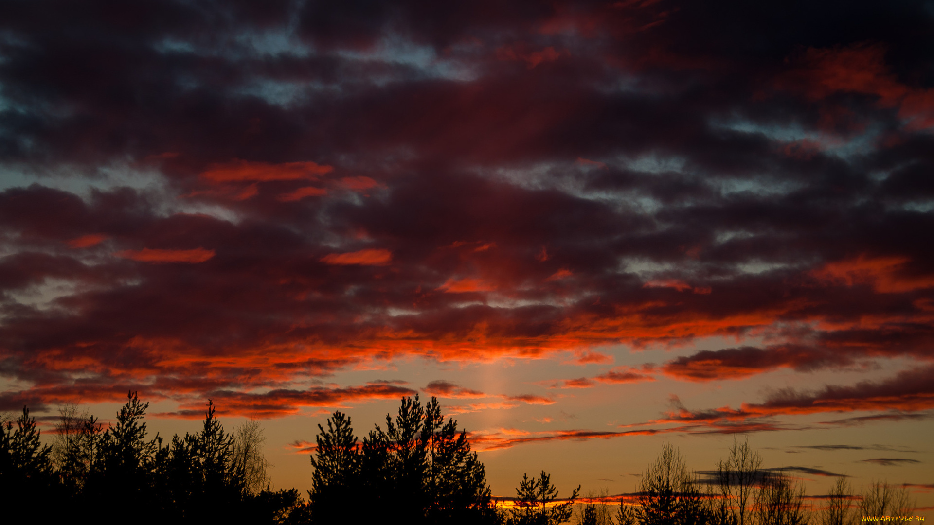 природа, восходы, закаты, закат, деревья, облака, небо
