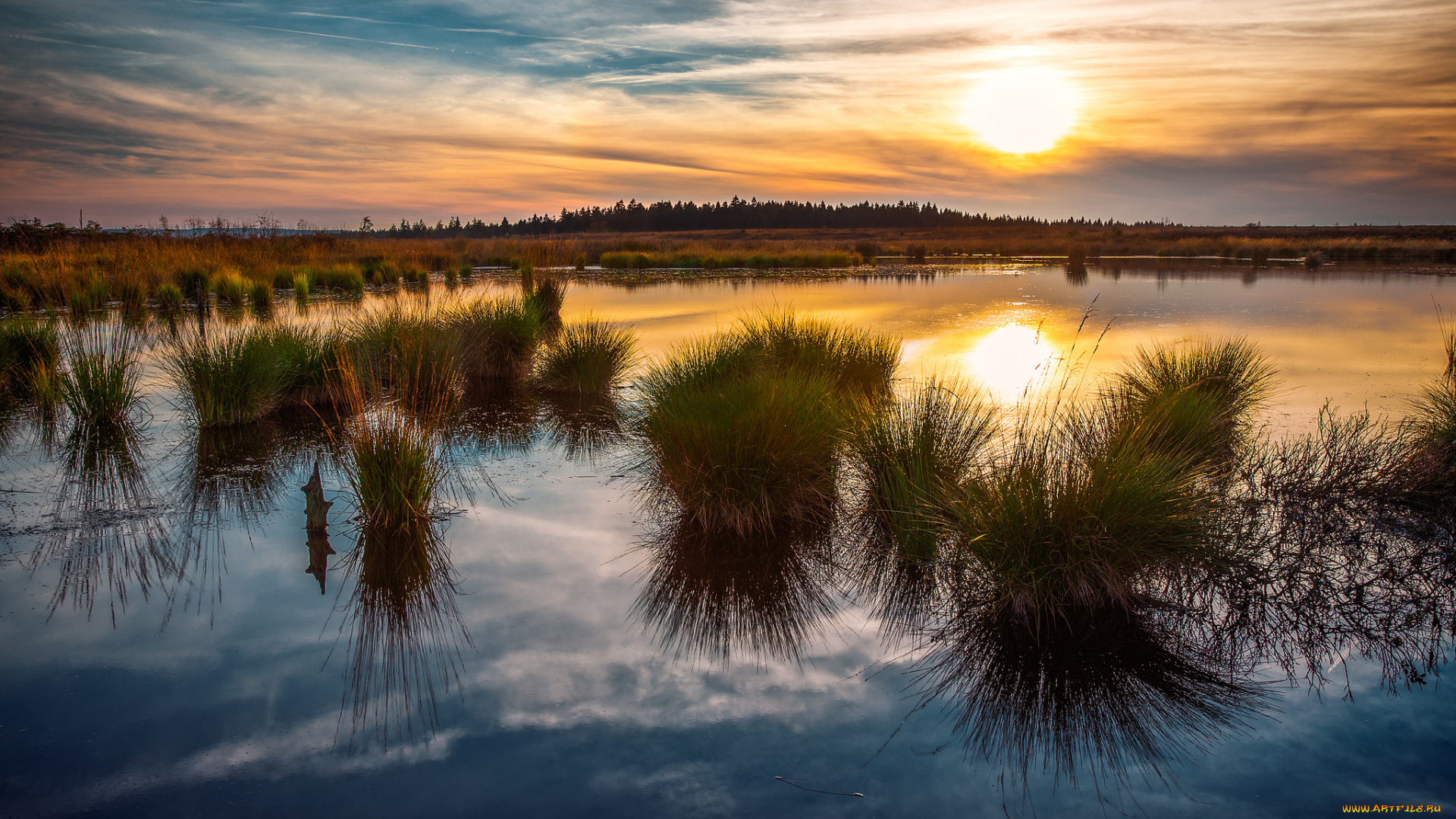 природа, восходы, закаты, заря, горизонт, трава, река