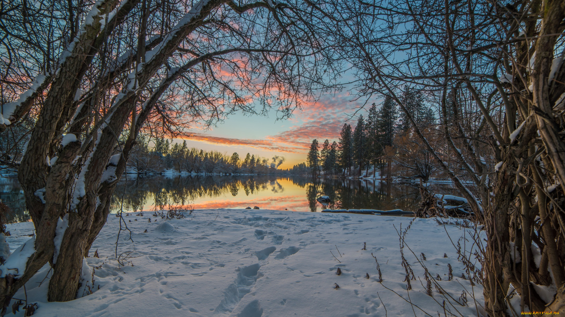 природа, зима, ветки, деревья, следы, снег, пейзаж, небо