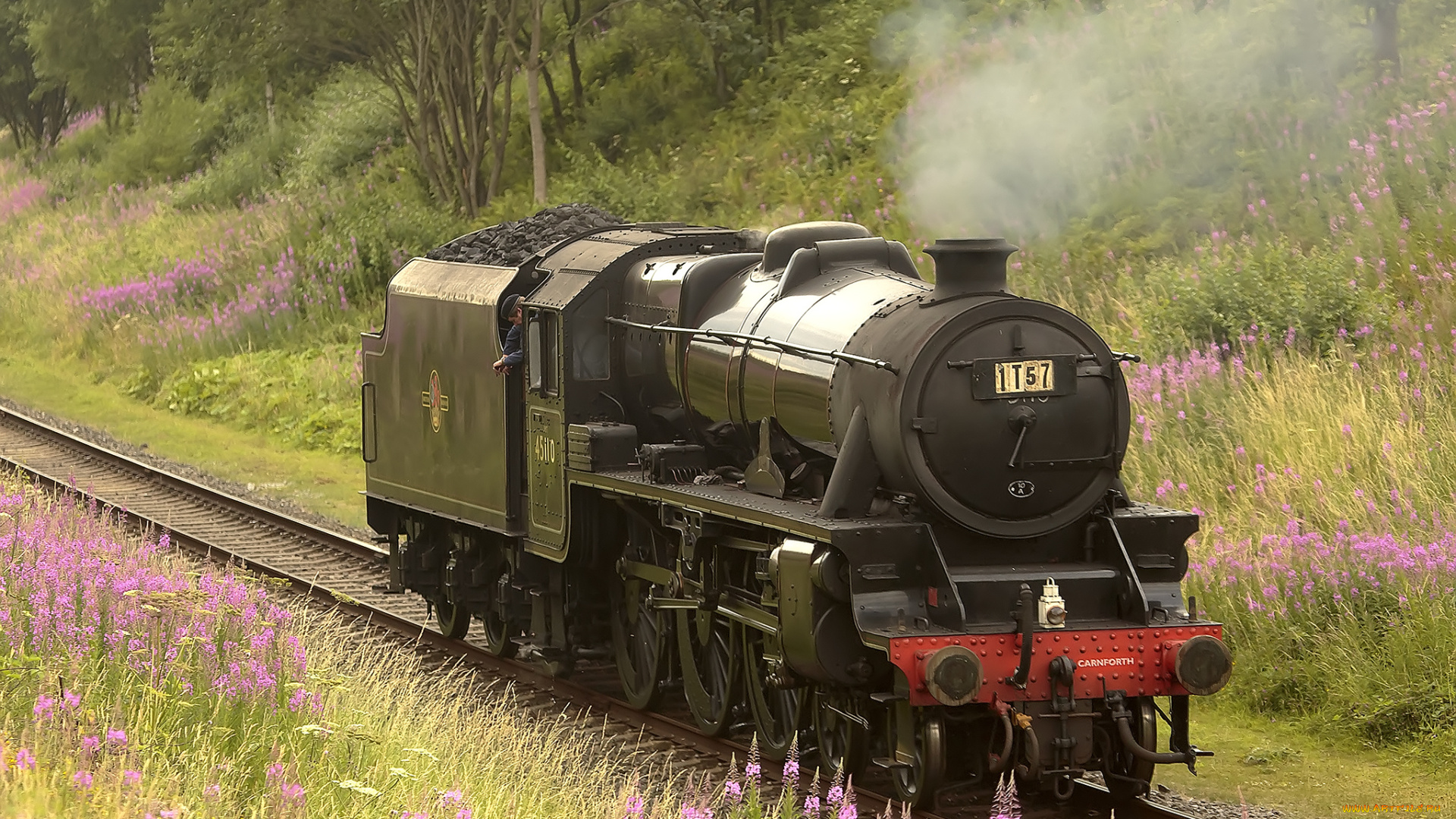 техника, паровозы, железная, дорога, паровоз