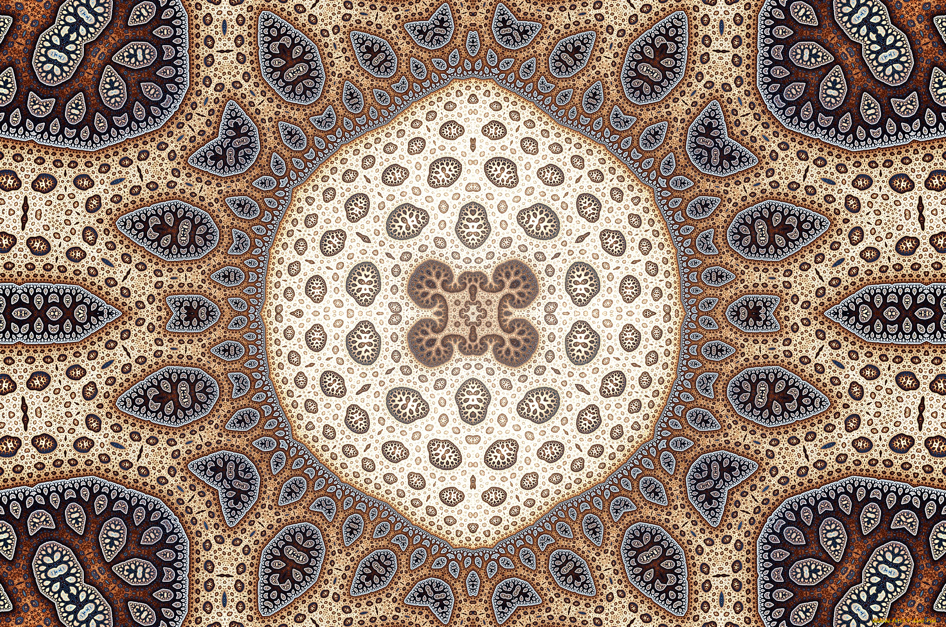 3д, графика, фракталы, , fractal, узор, фон, цвета