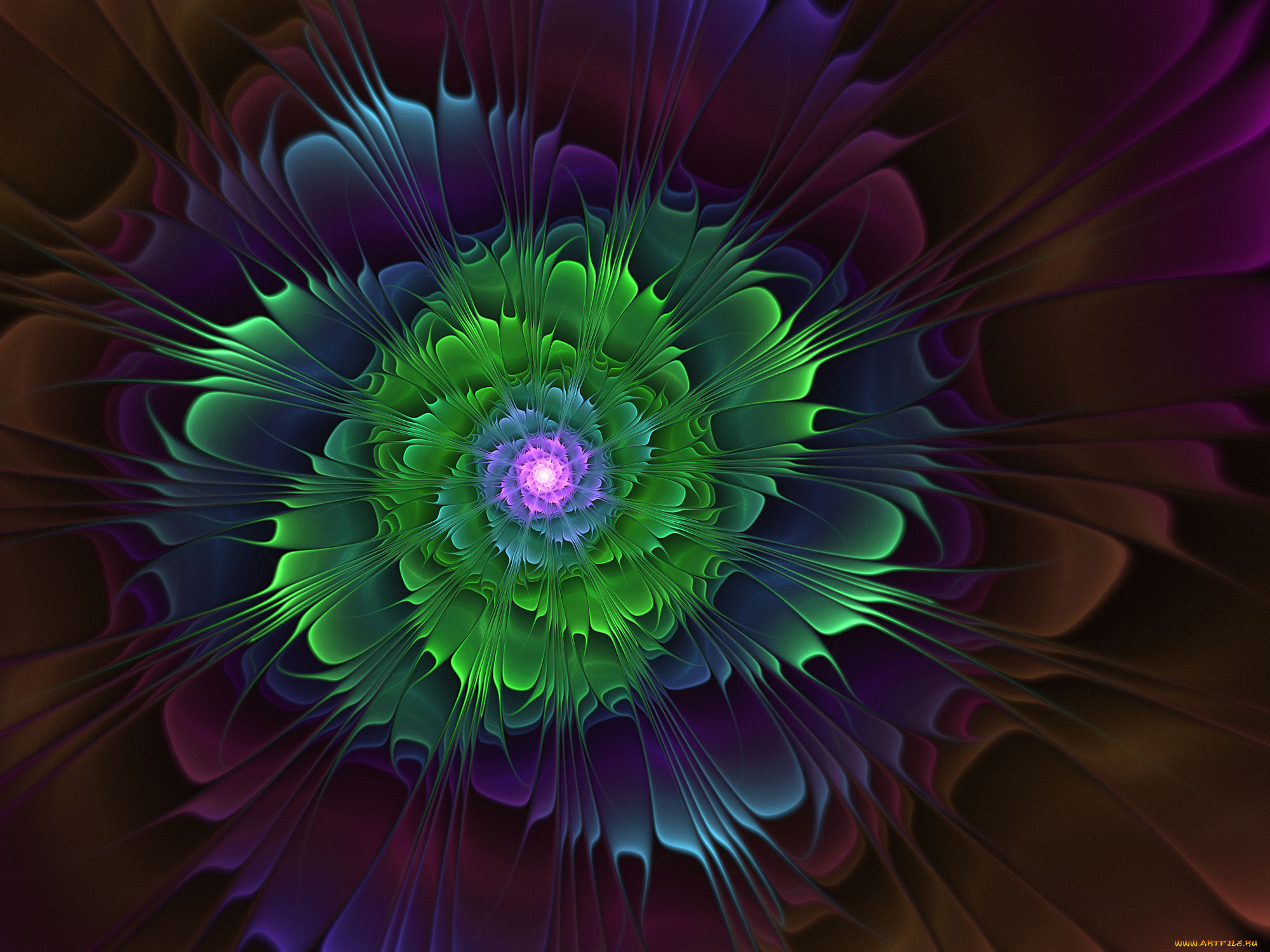 3д, графика, фракталы, , fractal, фон, узор, цвета