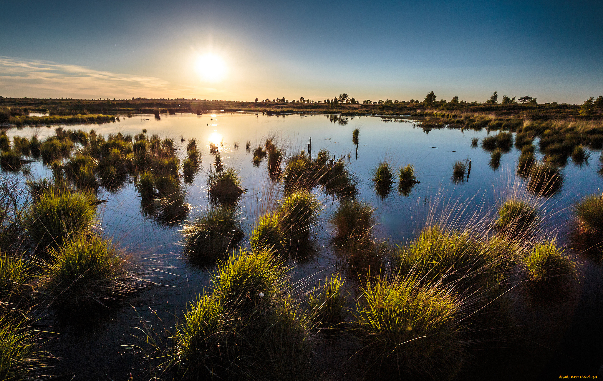 природа, восходы, закаты, трава, горизонт, заря, река