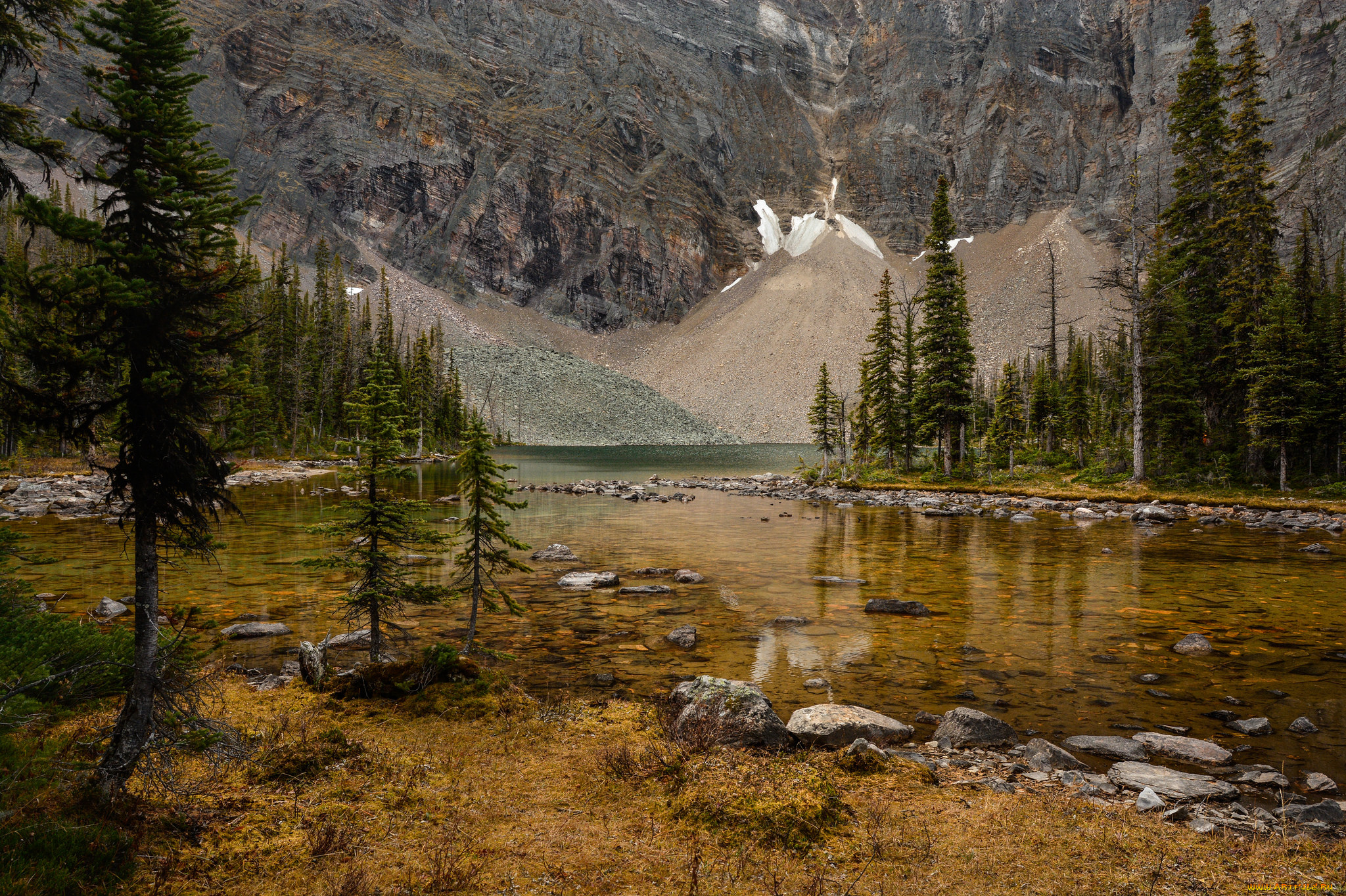 природа, реки, озера, озеро, лес, горы