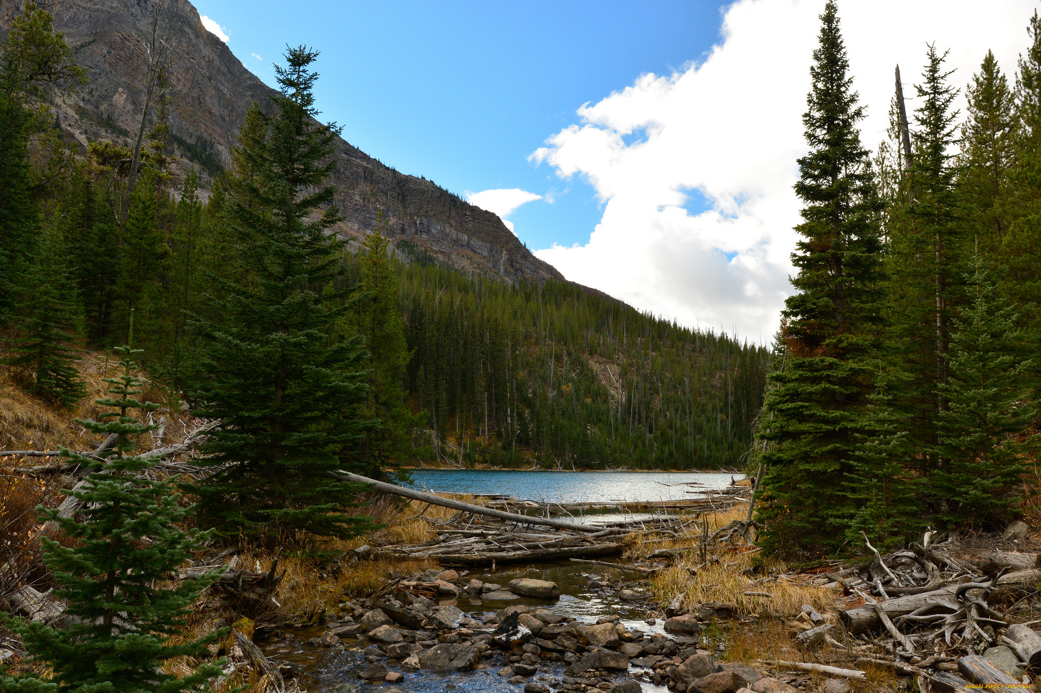 природа, реки, озера, озеро, лес, горы