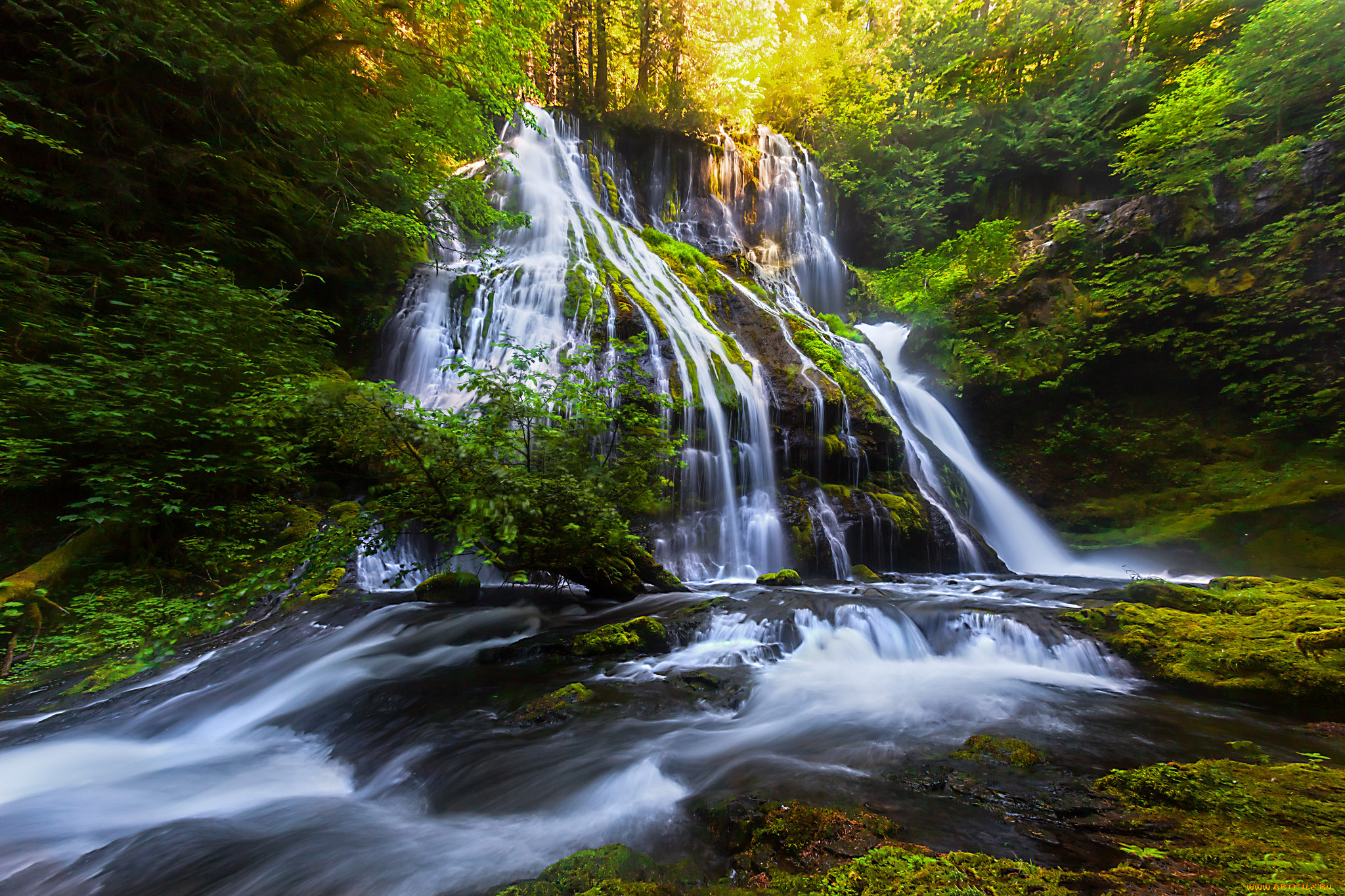 природа, водопады, лес, река, водопад
