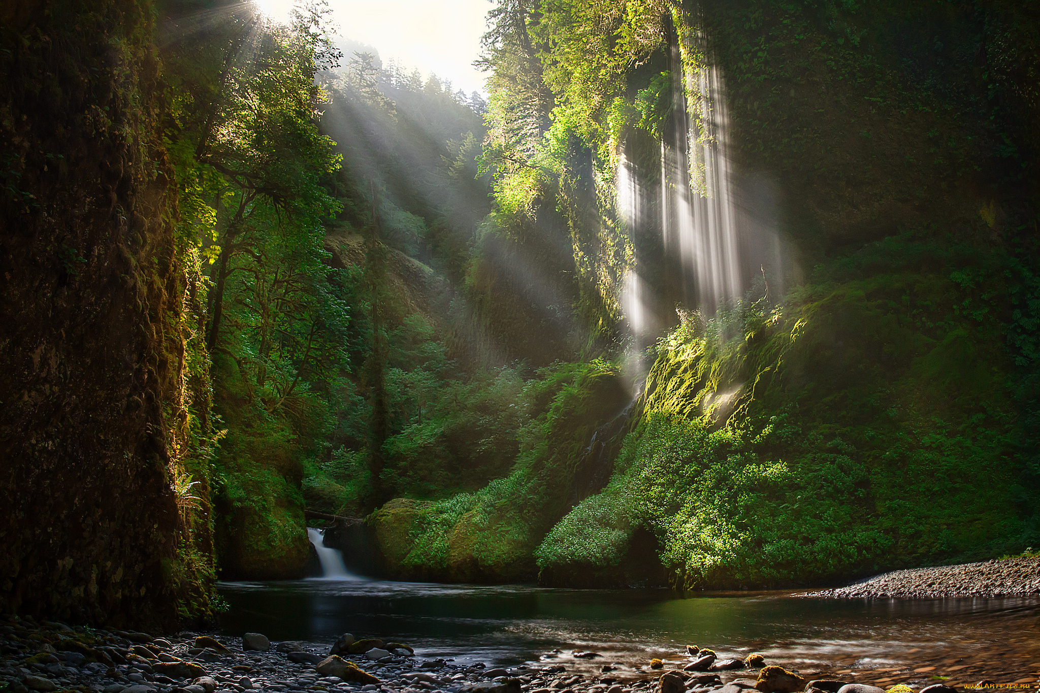 природа, водопады, лес, река, водопад