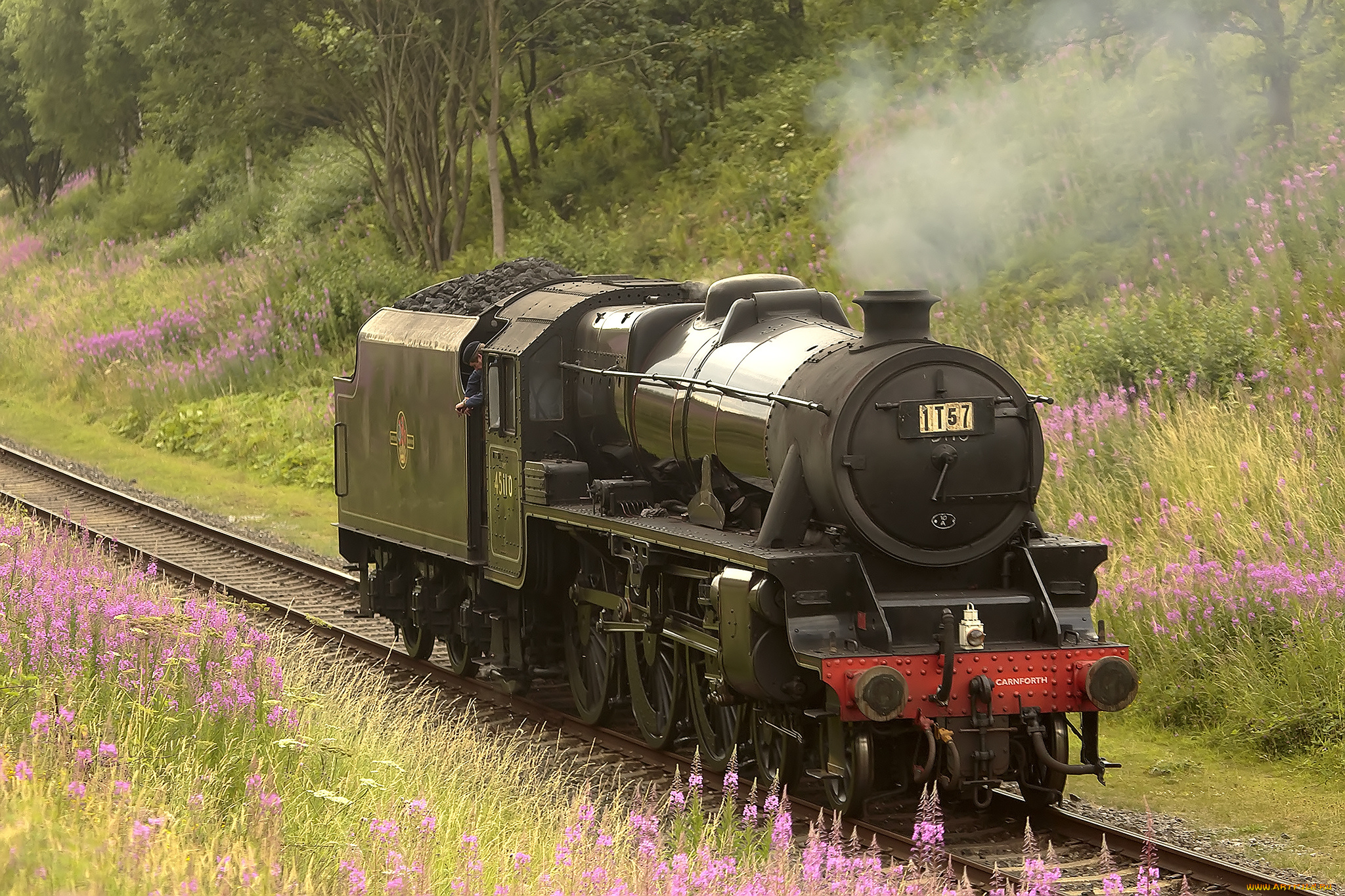 техника, паровозы, железная, дорога, паровоз