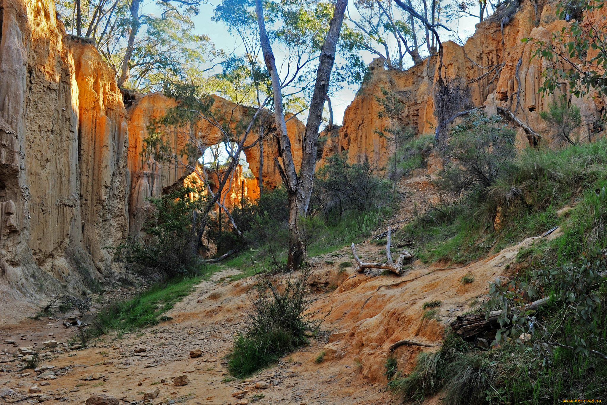 природа, горы, скалы, арка, деревья