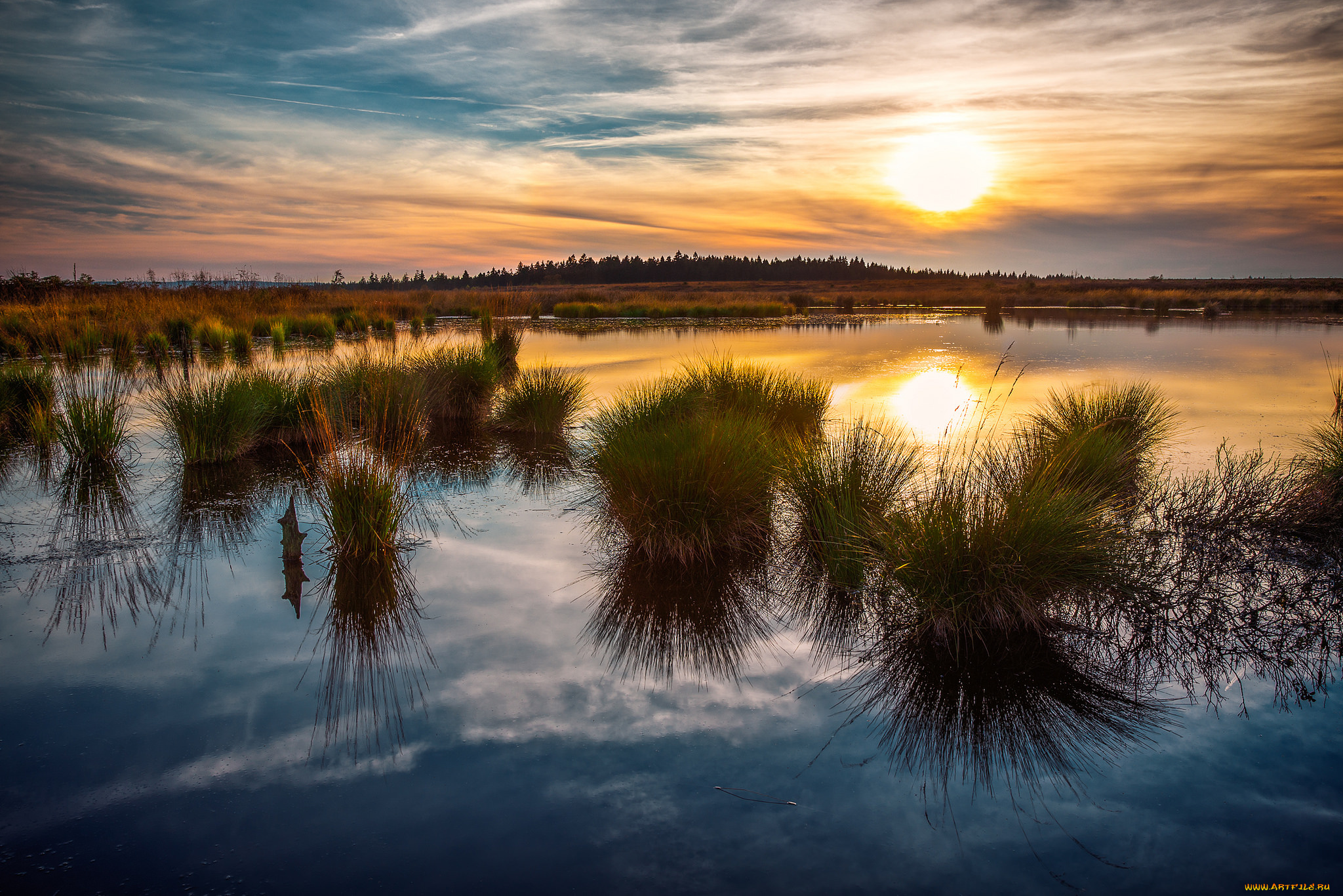 природа, восходы, закаты, заря, горизонт, трава, река