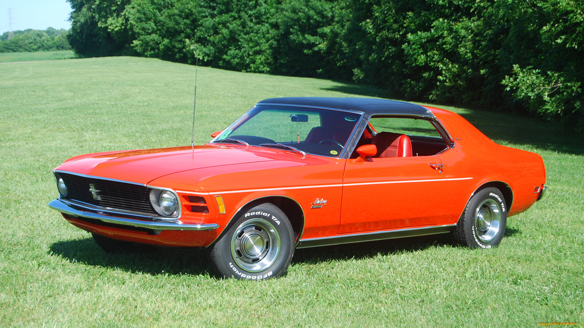 автомобили, mustang