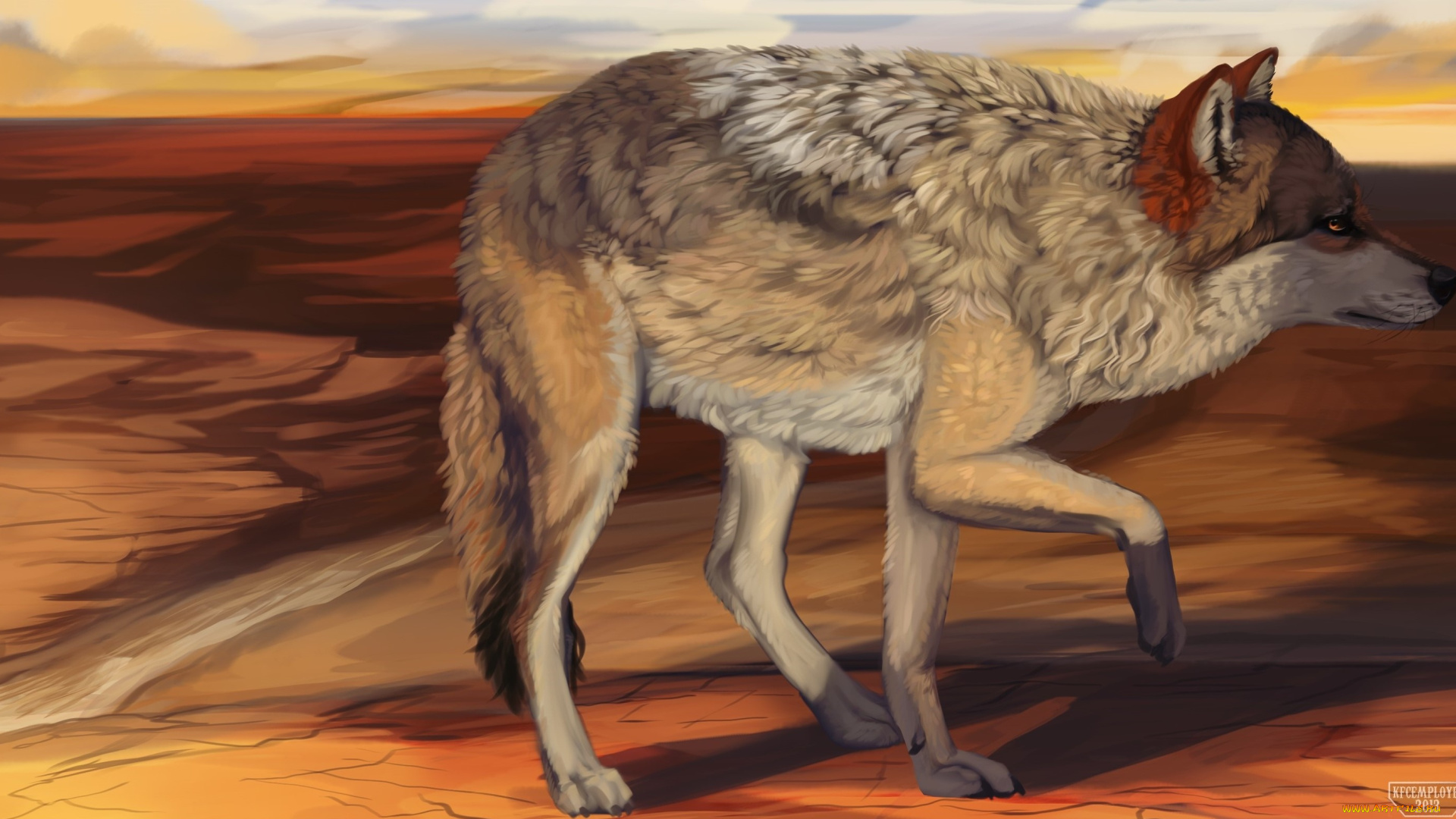 рисованное, животные, , волки, фон, взгляд, волк