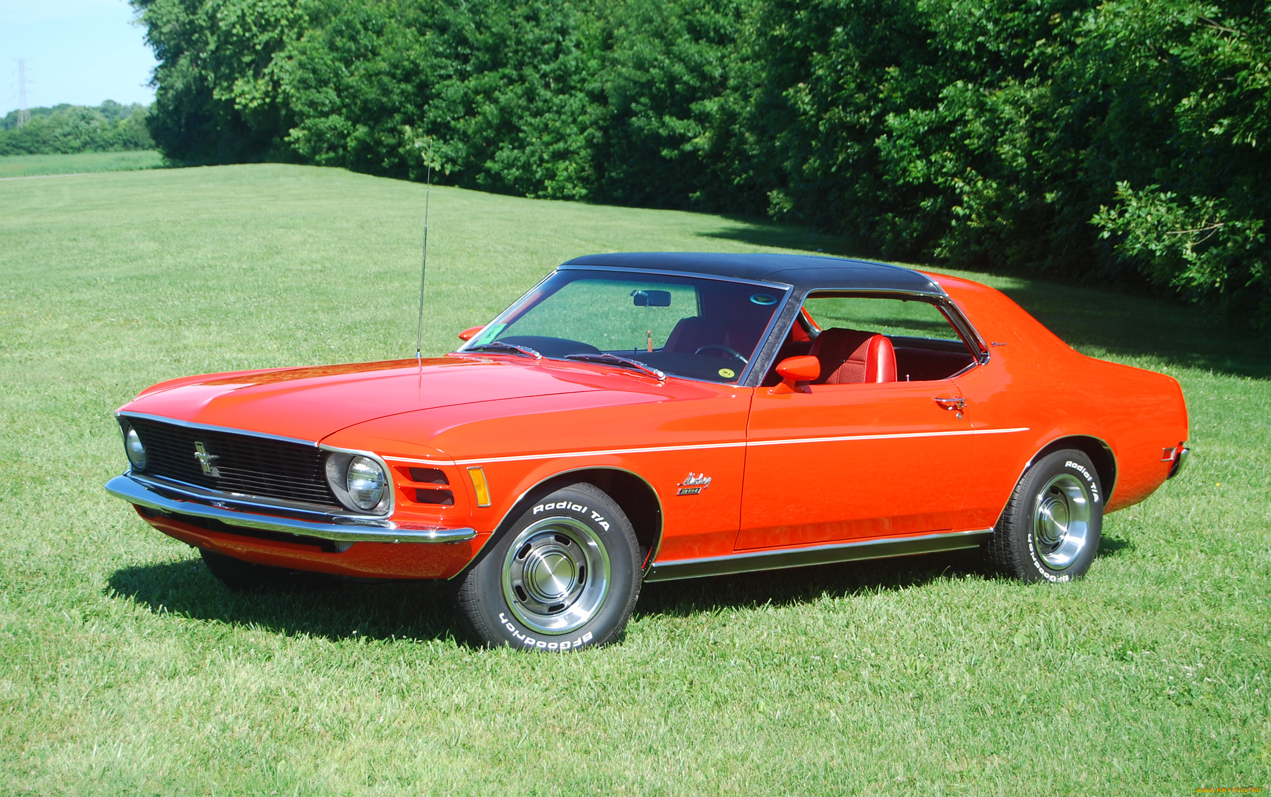 автомобили, mustang