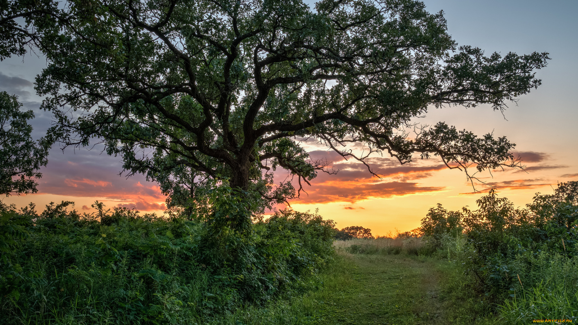 природа, дороги, рассвет
