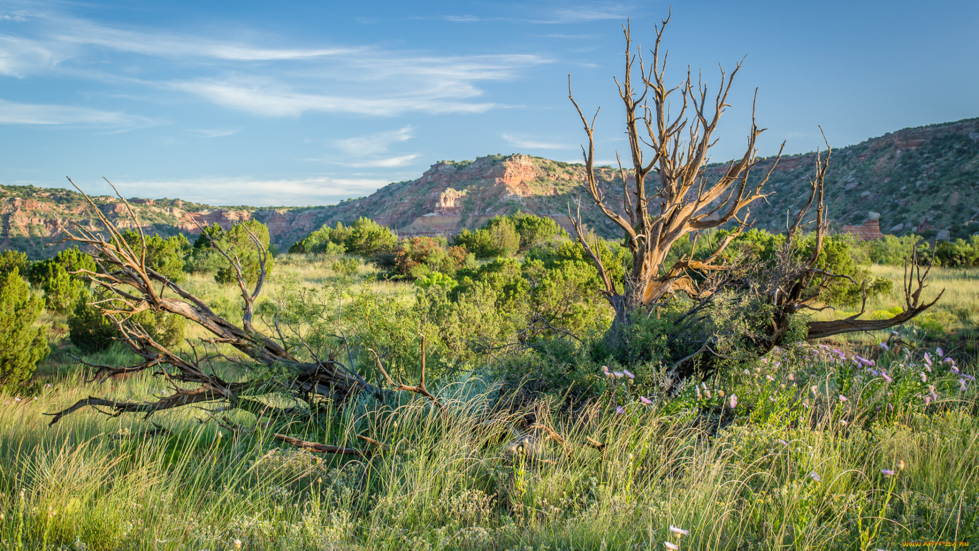природа, пейзажи, простор