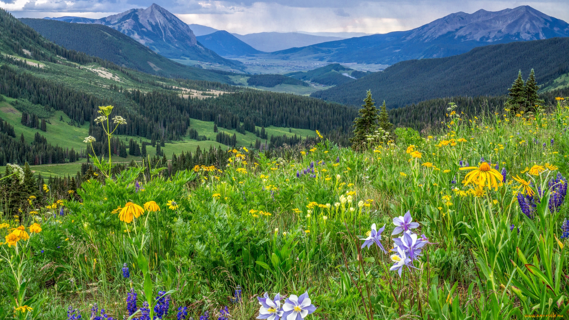 природа, пейзажи, простор