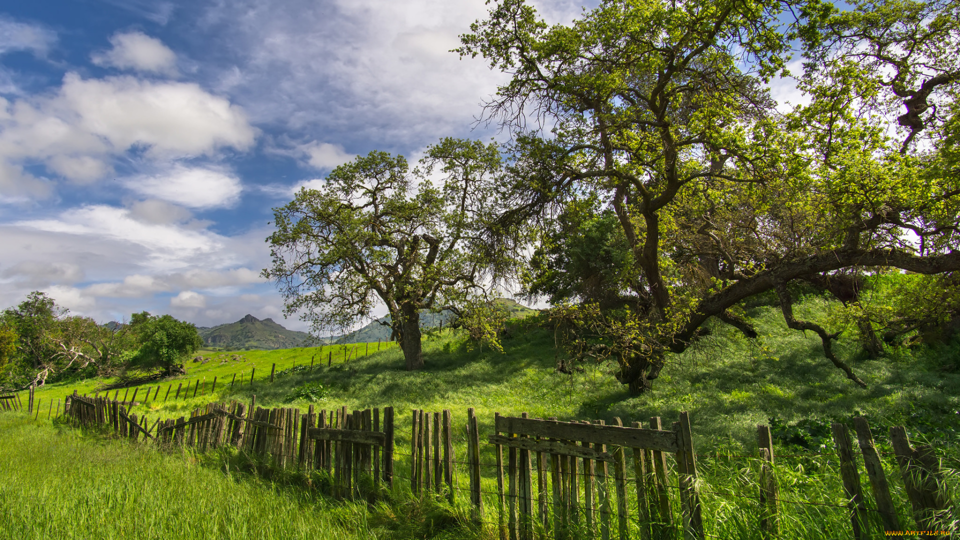 природа, пейзажи, простор