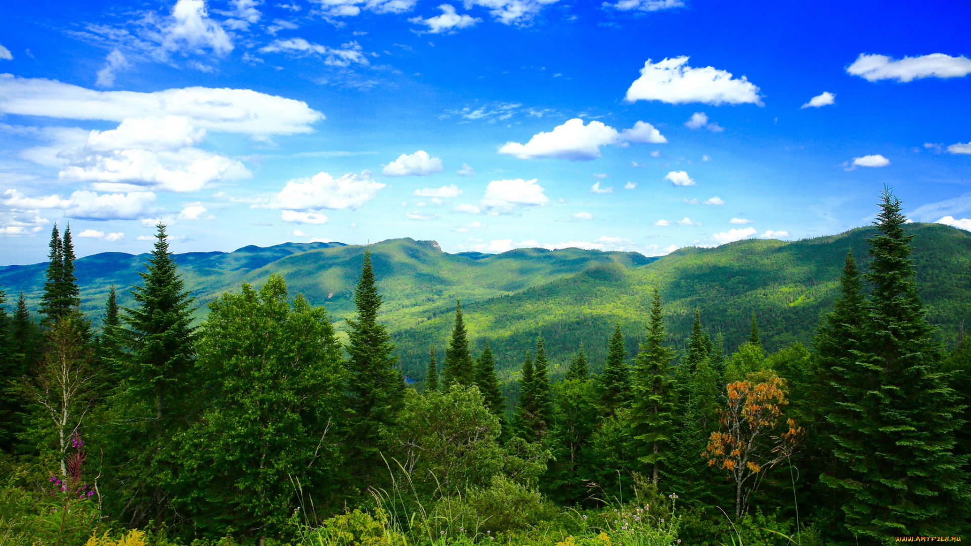 природа, пейзажи, простор