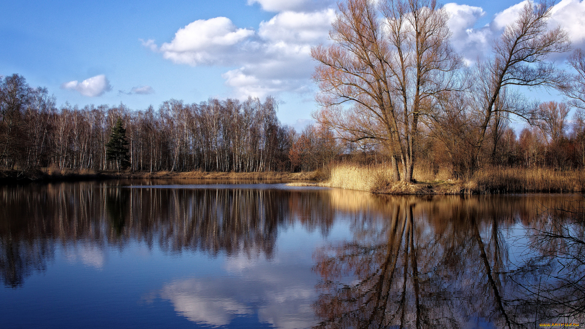 природа, реки, озера, лес, река