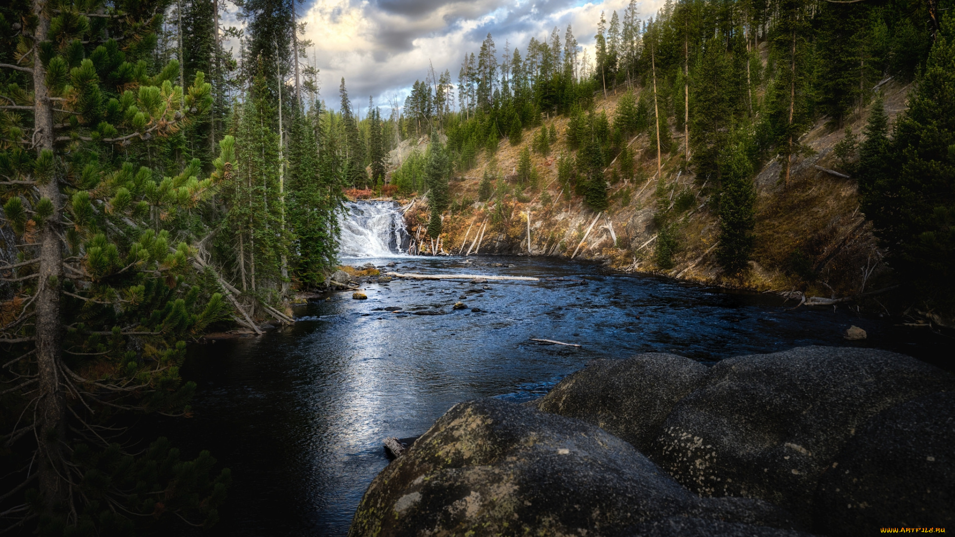 природа, реки, озера, лес, река