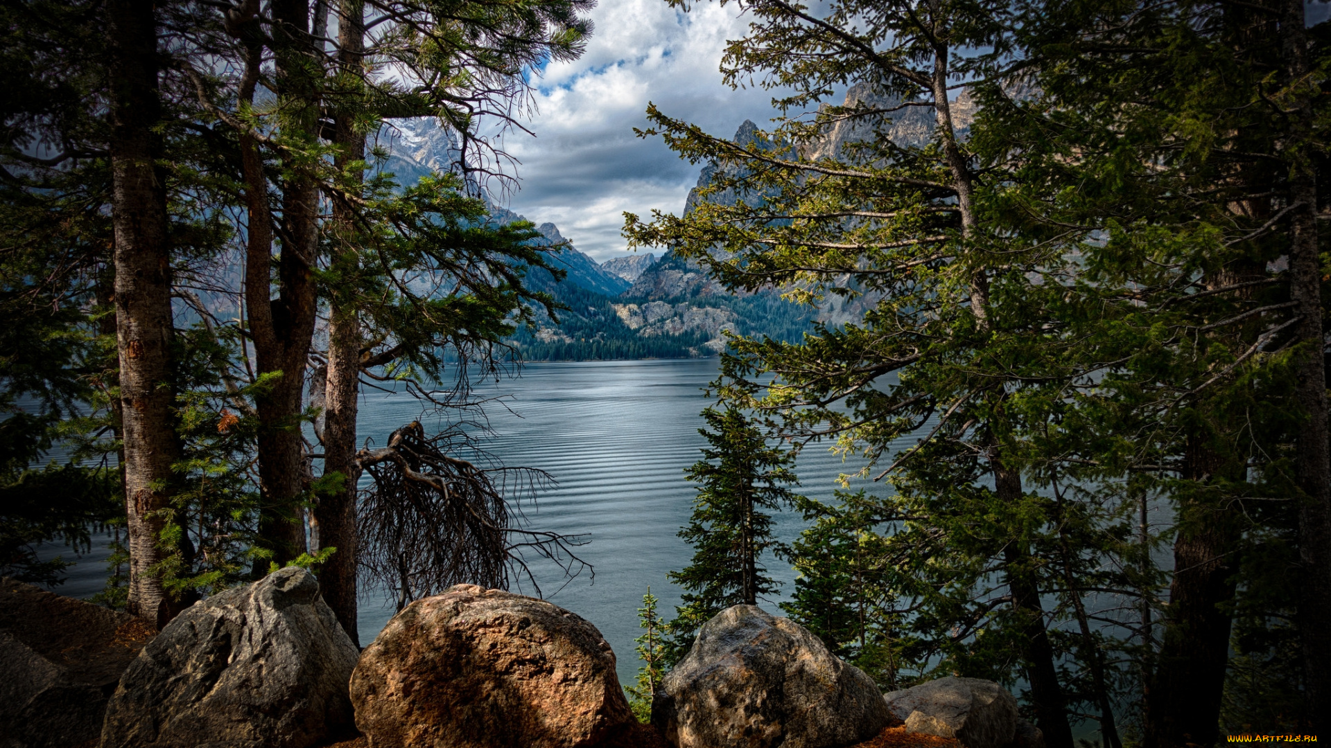 природа, реки, озера, лес, река