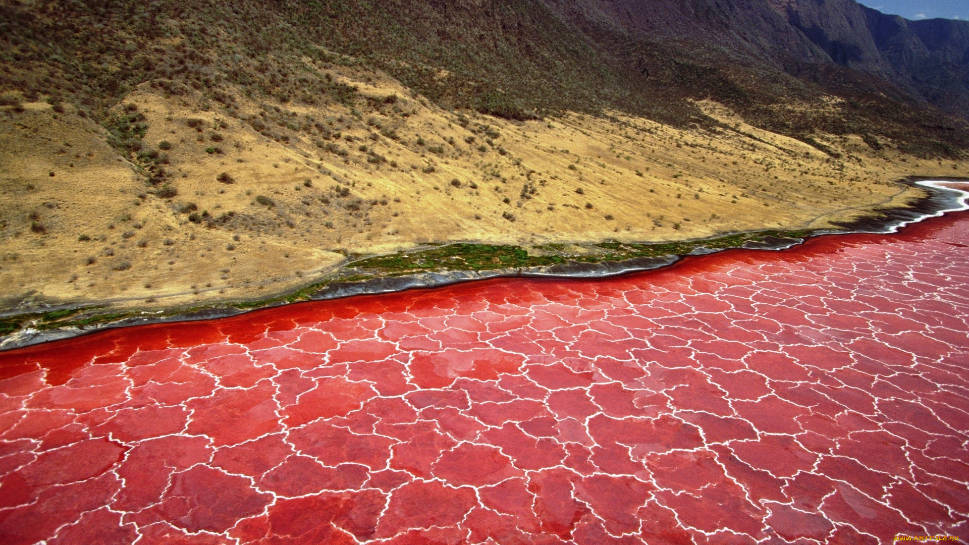 природа, реки, озера, пустыня, река, берег, горы