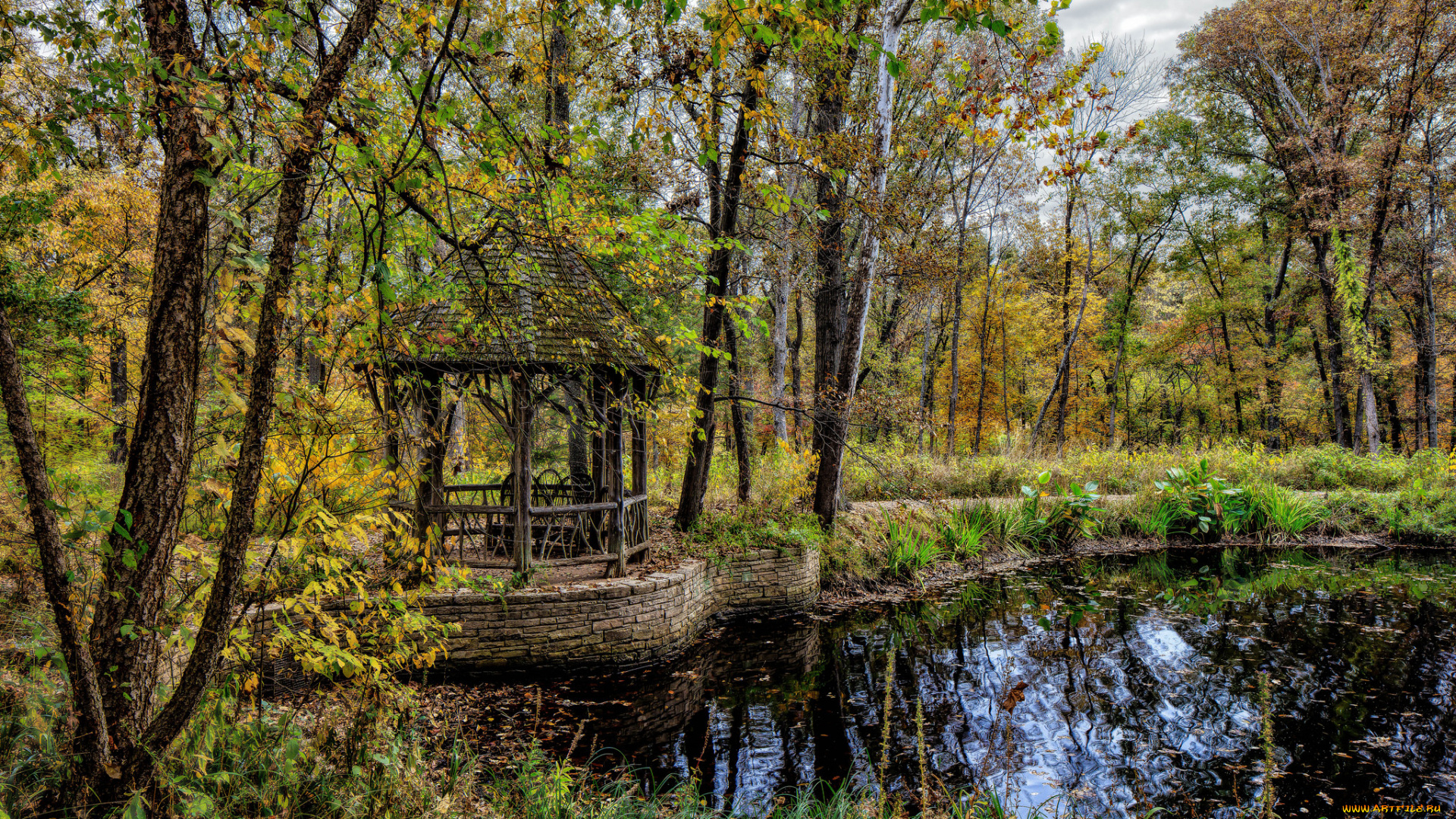 природа, реки, озера, река, лес