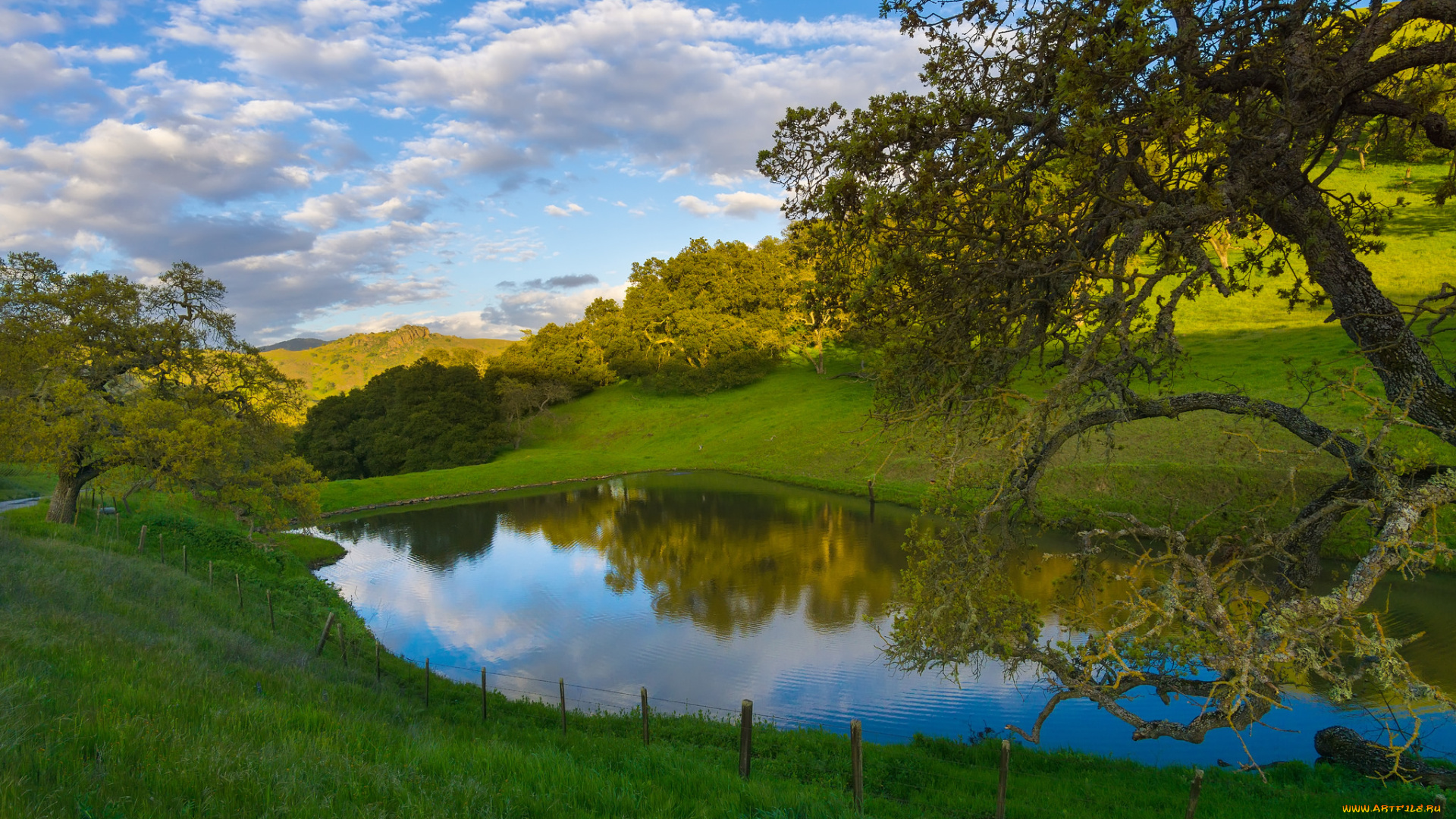 природа, реки, озера, река, лес