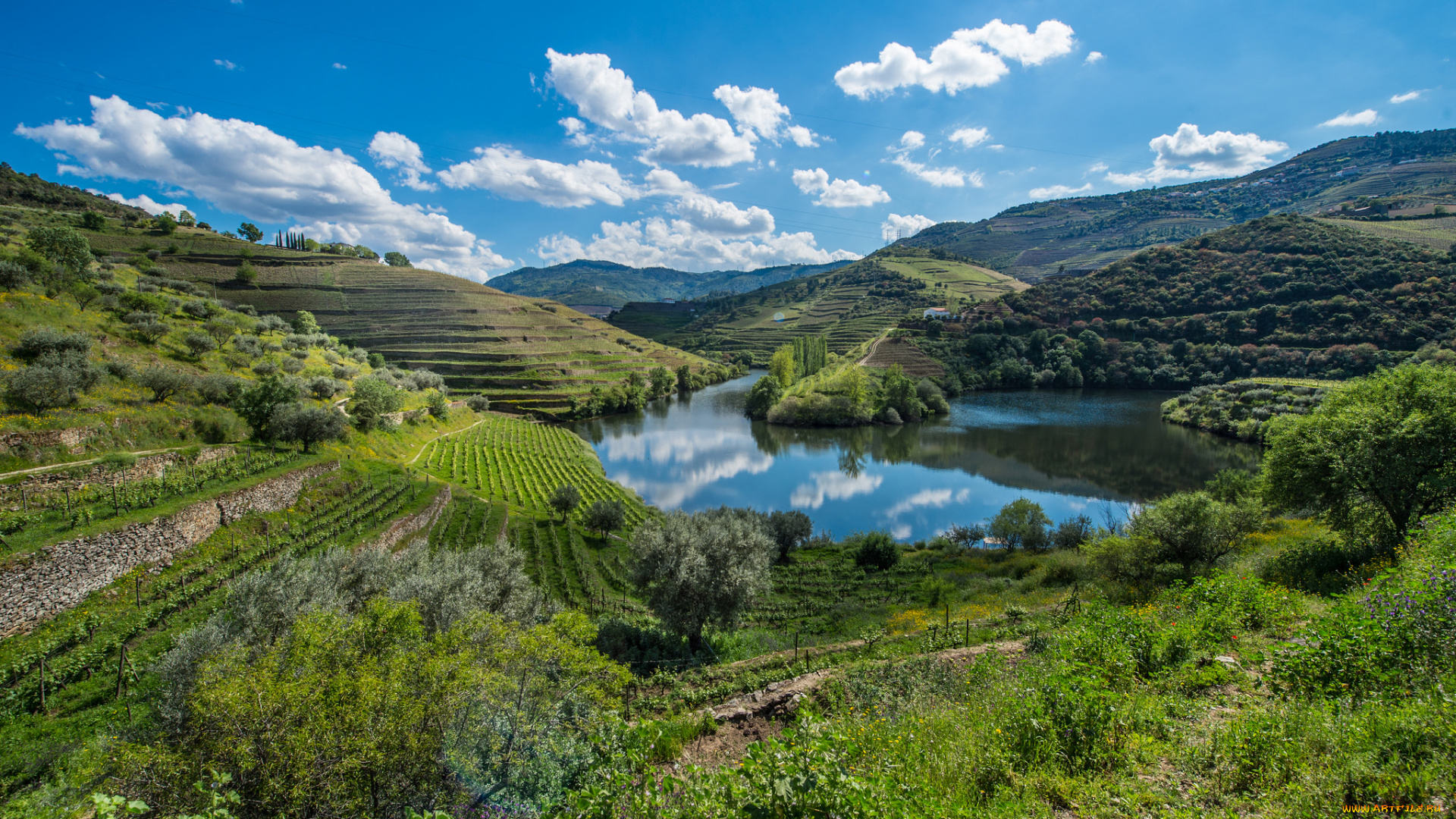 природа, реки, озера, река, лес