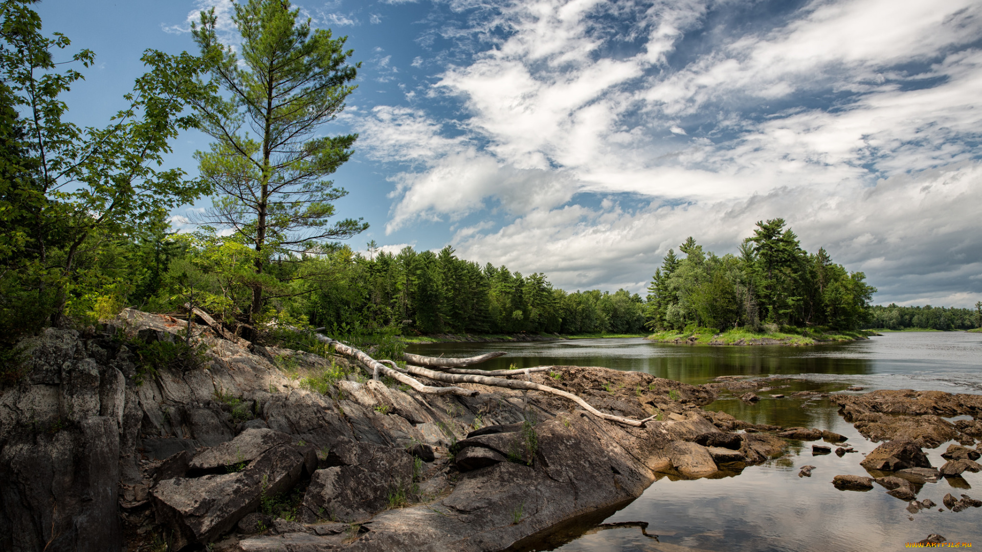 природа, реки, озера, река, лес