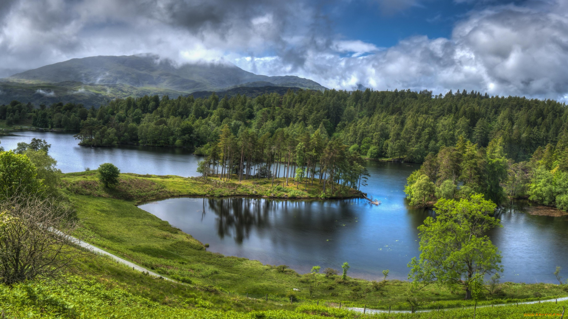 природа, реки, озера, река, лес