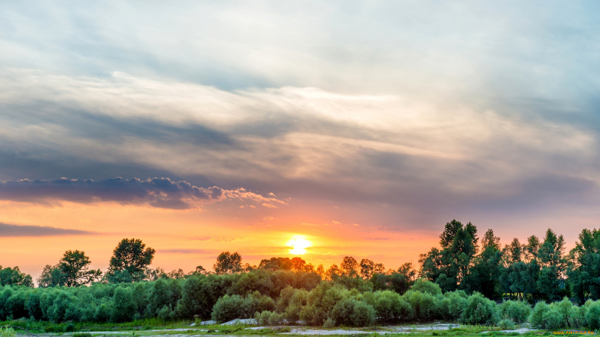 природа, восходы, закаты, деревья, украина, небо, река, закат, днепр, солнце, берег, кусты