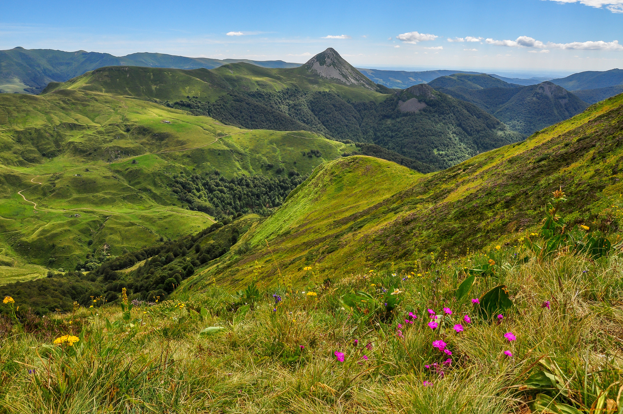 природа, пейзажи, простор