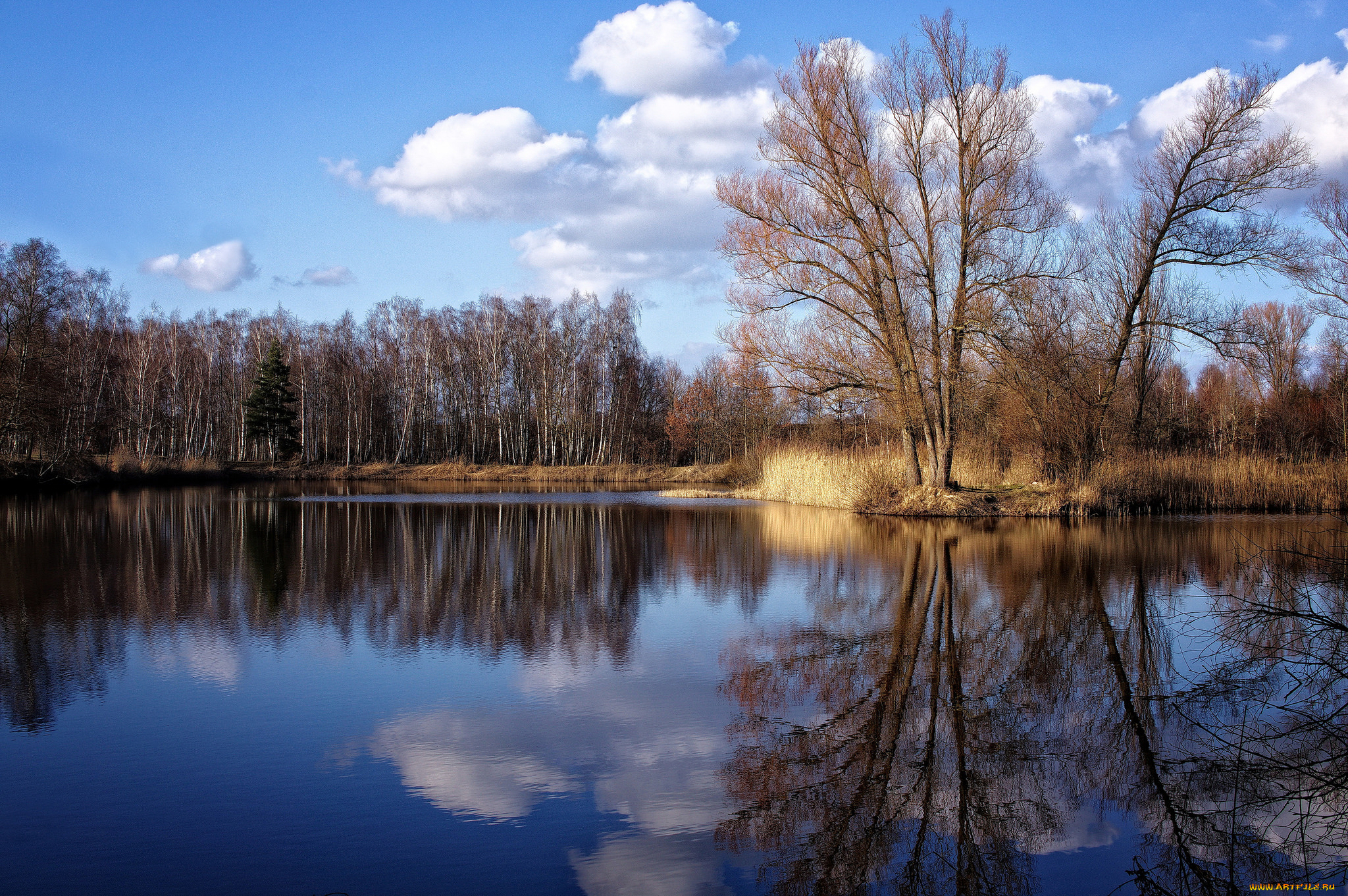 природа, реки, озера, лес, река