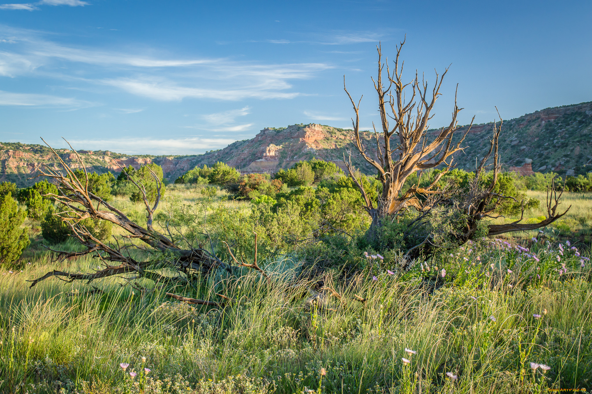 природа, пейзажи, простор