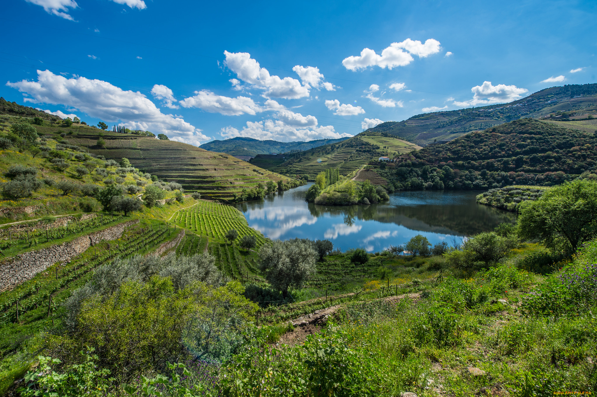 природа, реки, озера, река, лес