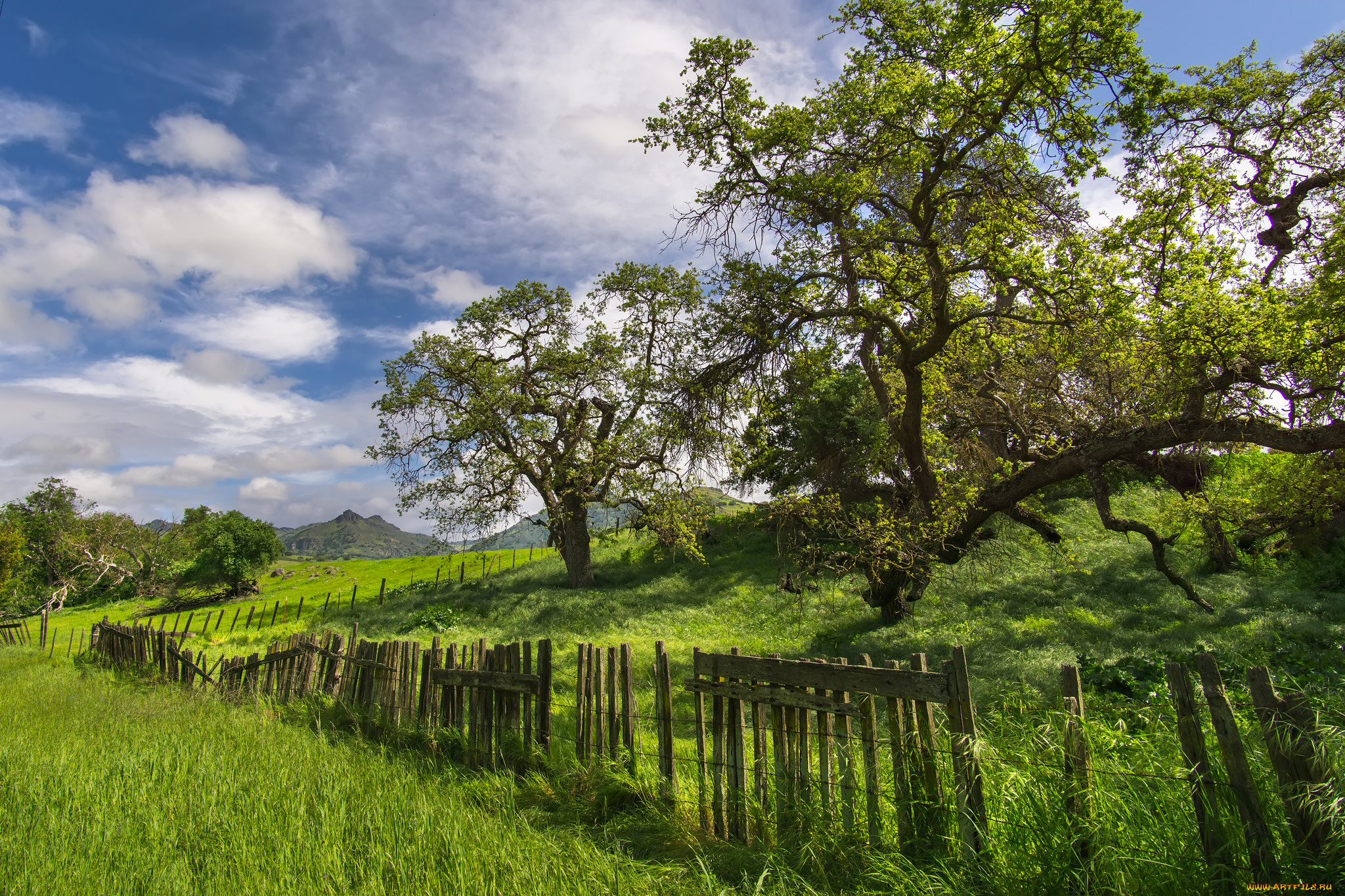 природа, пейзажи, простор