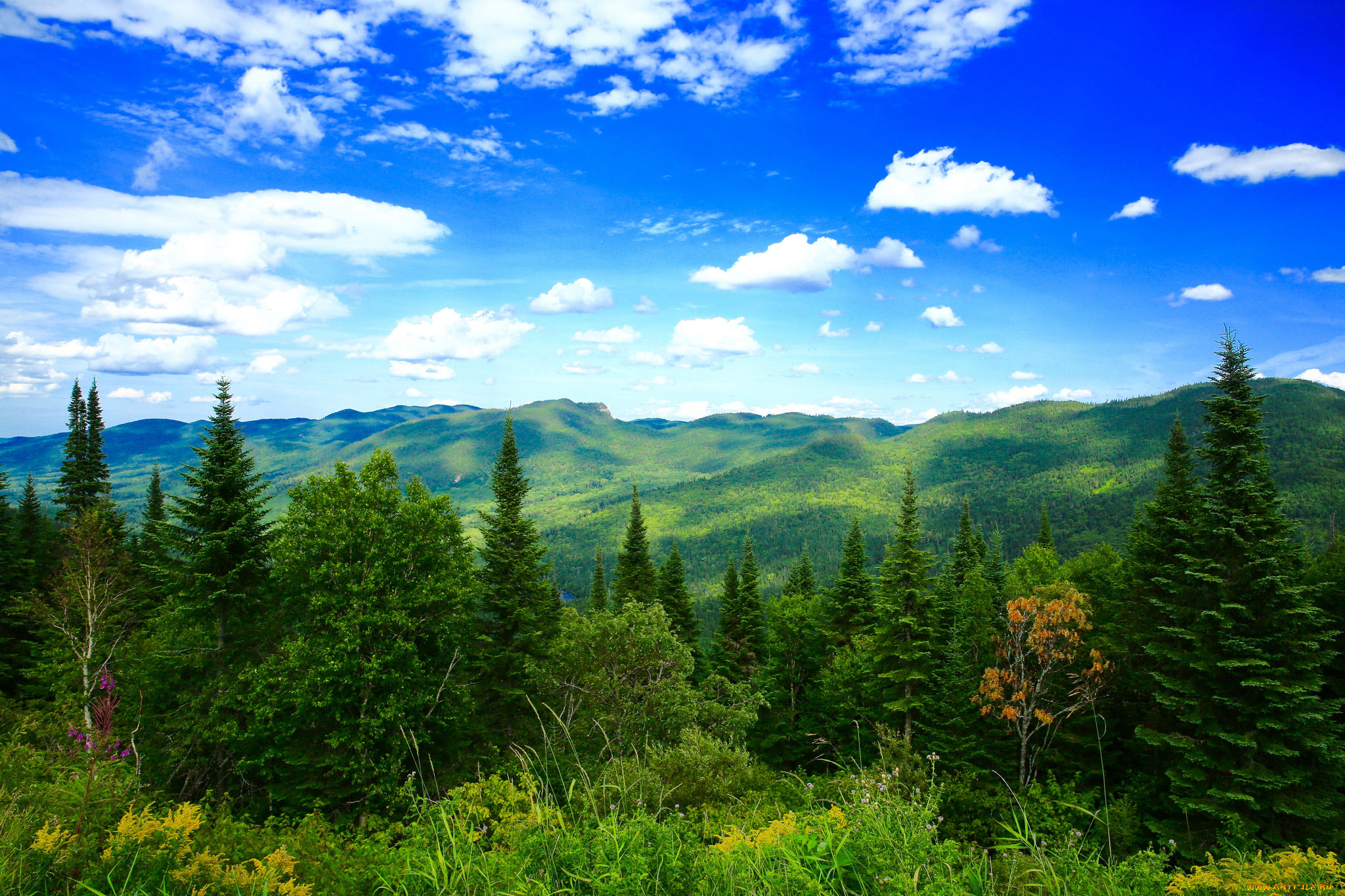 природа, пейзажи, простор