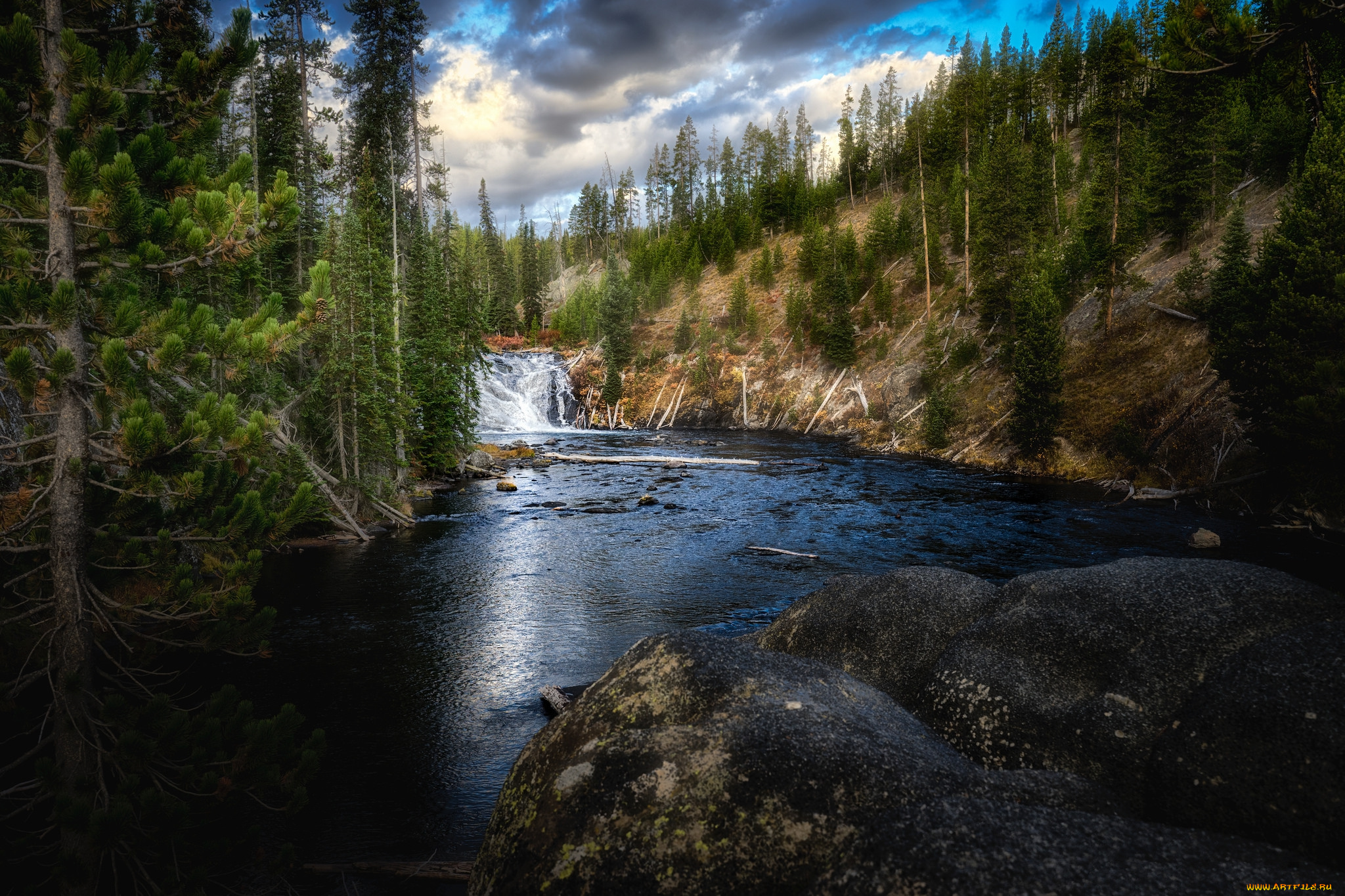 природа, реки, озера, лес, река