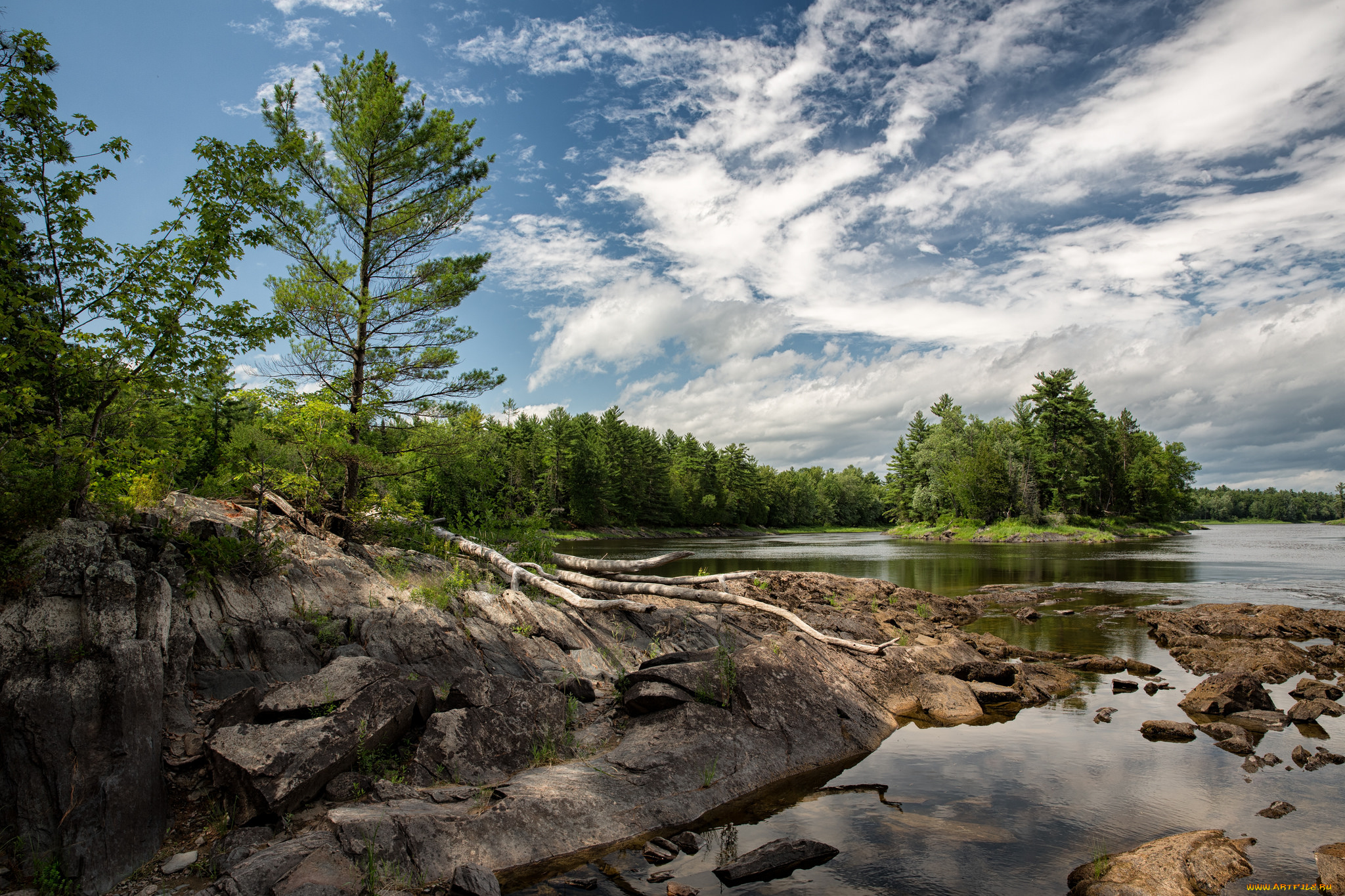 природа, реки, озера, река, лес