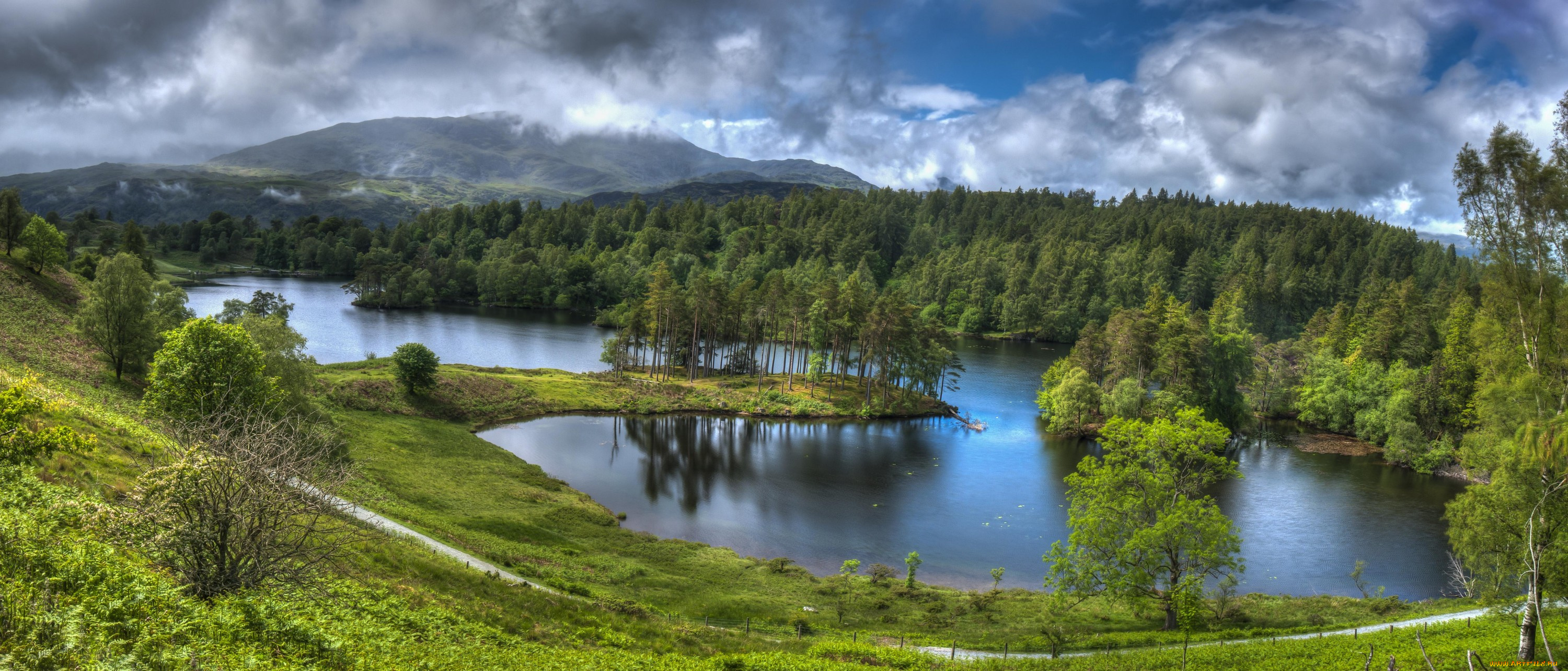 природа, реки, озера, река, лес