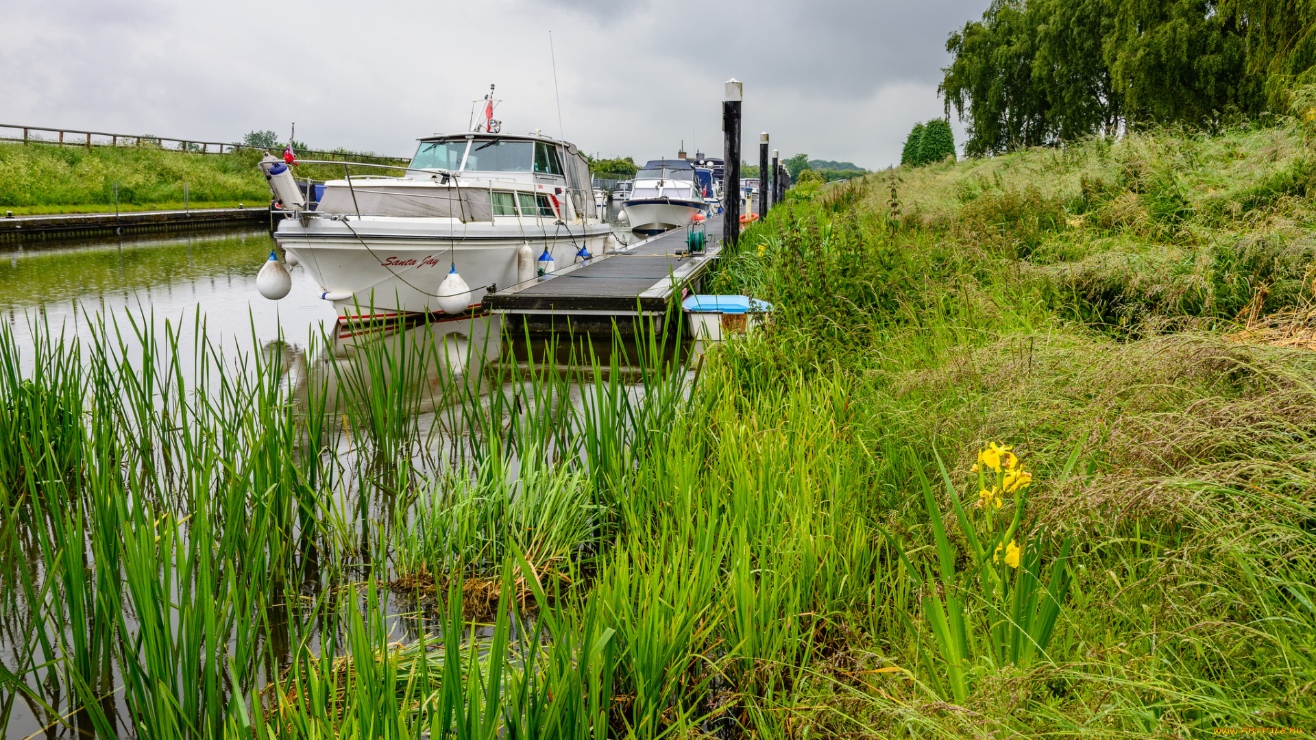 корабли, катера, судно