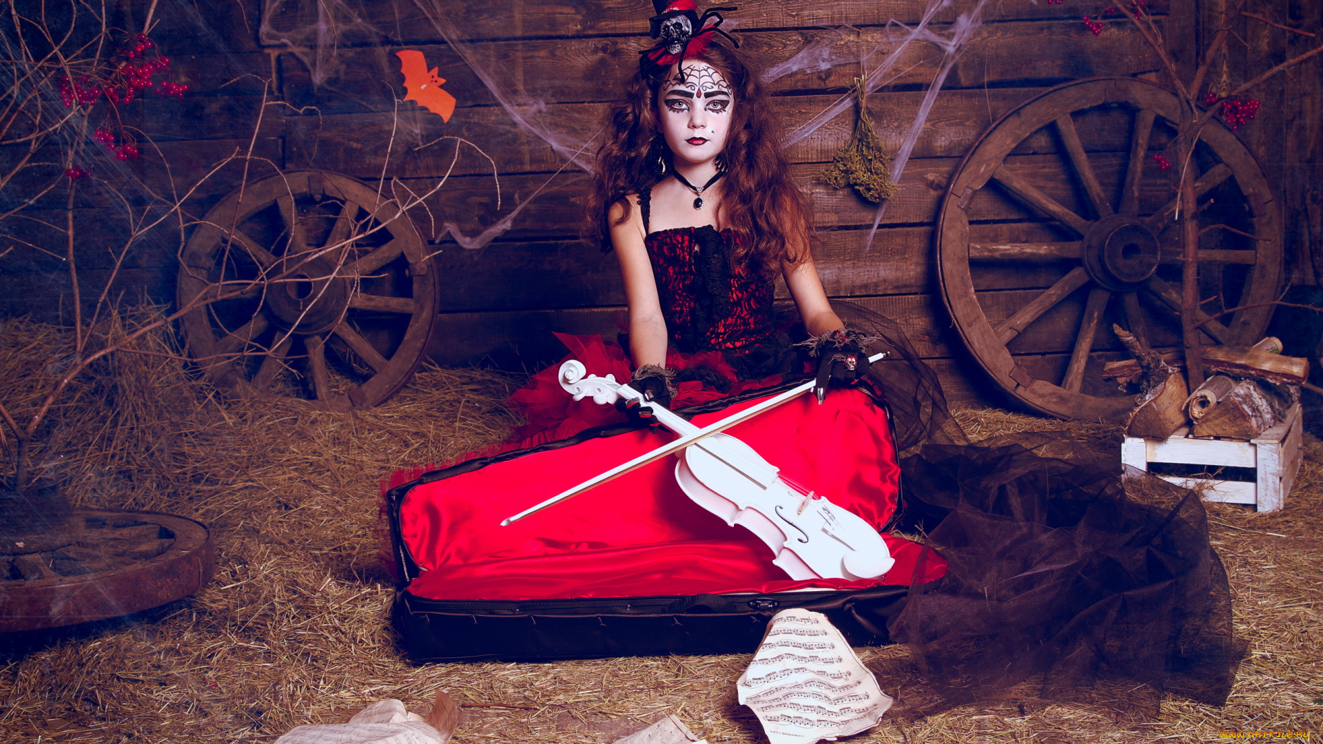 музыка, -, другое, девушка, скрипка