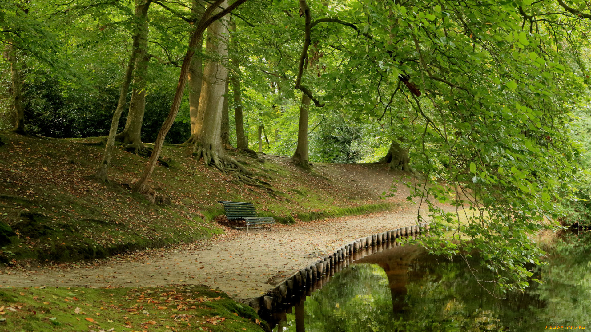 природа, дороги, простор