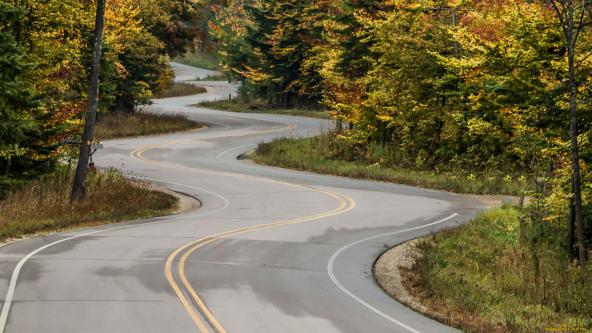 природа, дороги, простор