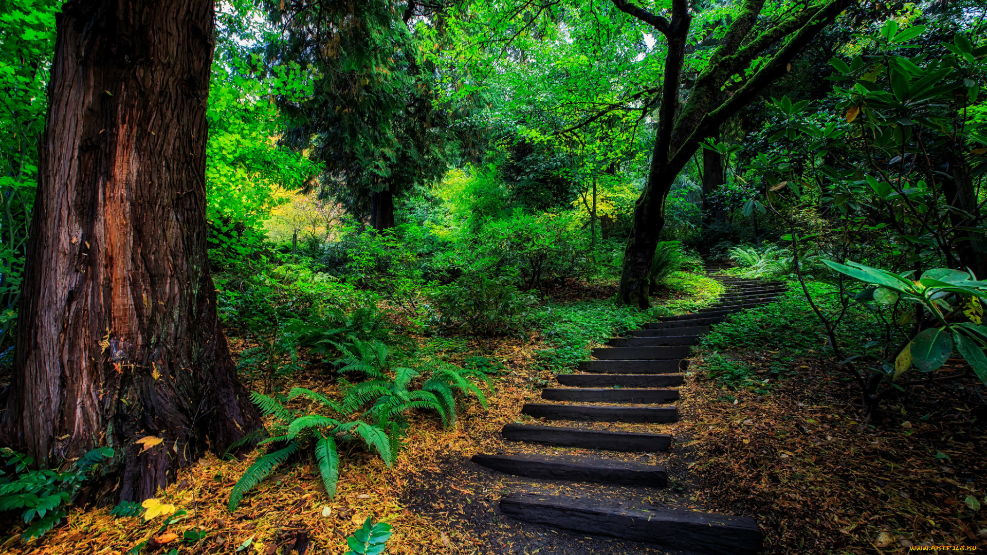 природа, дороги, простор