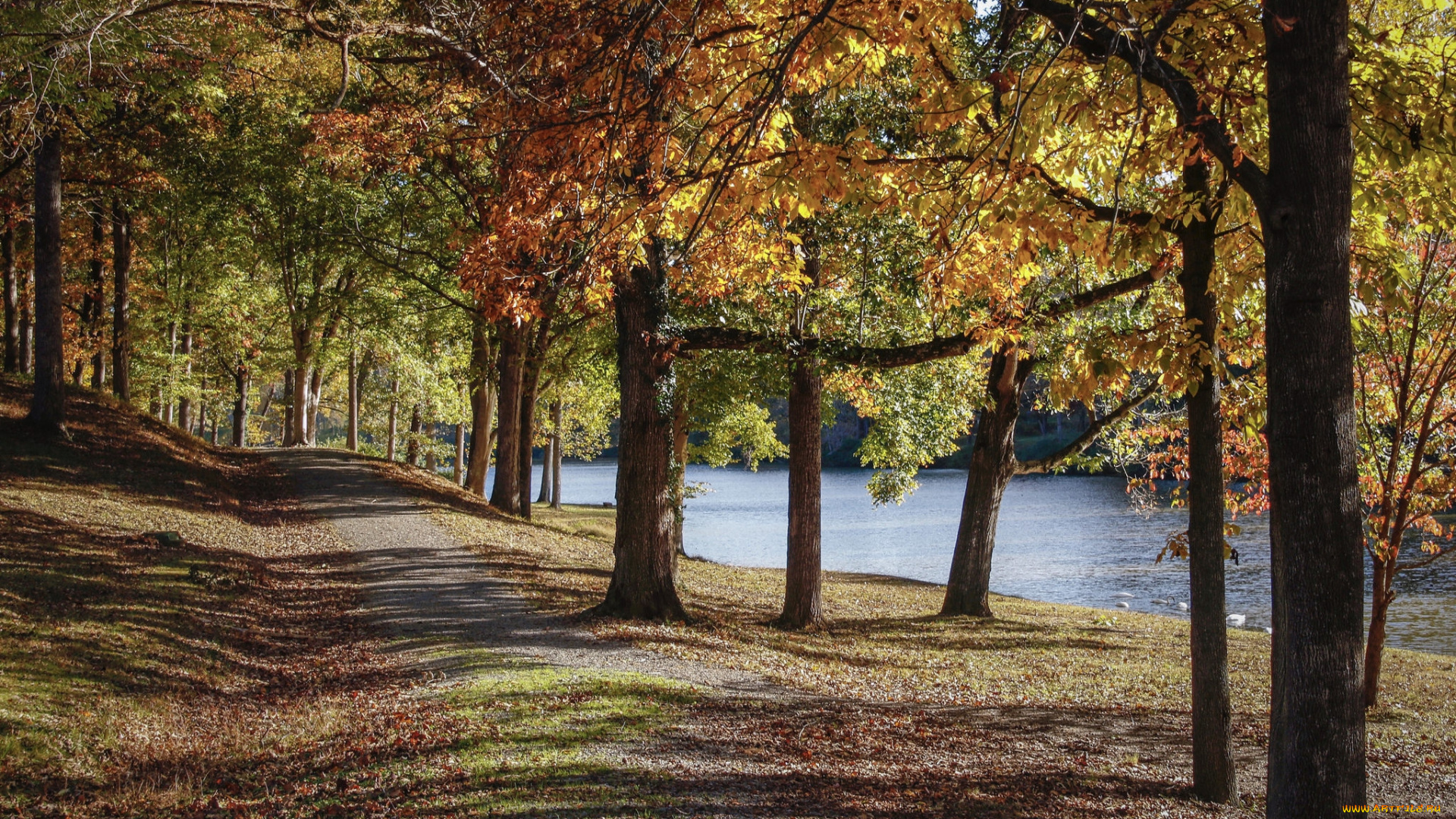 природа, дороги, простор