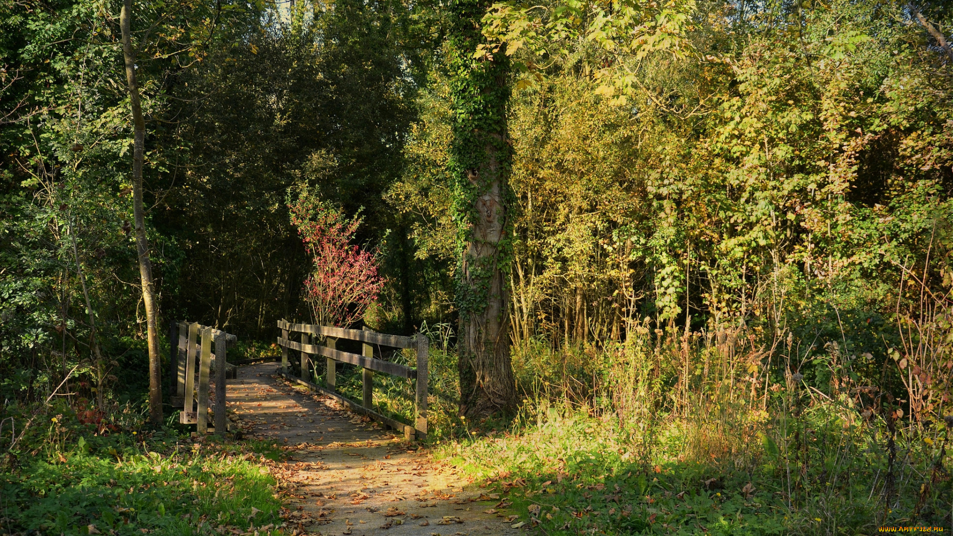 природа, дороги, простор