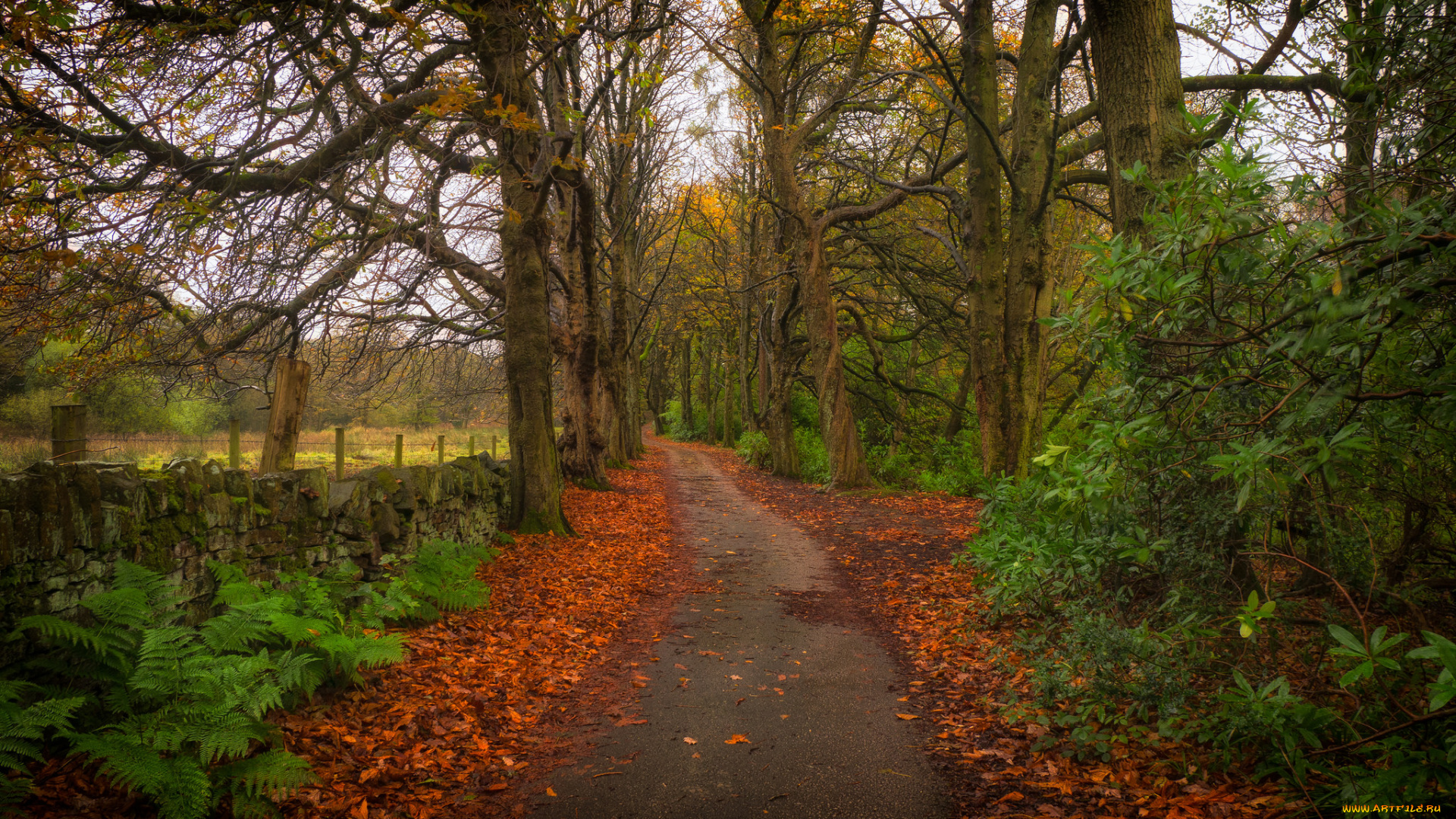 природа, дороги, простор